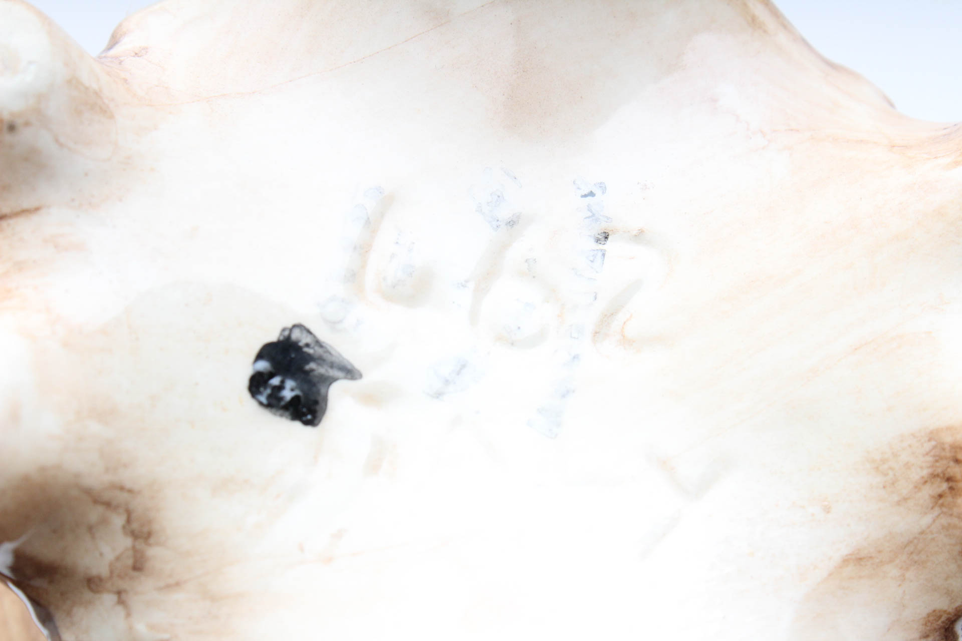 Capodimonte Porcelain Vase and Flower Arrangement