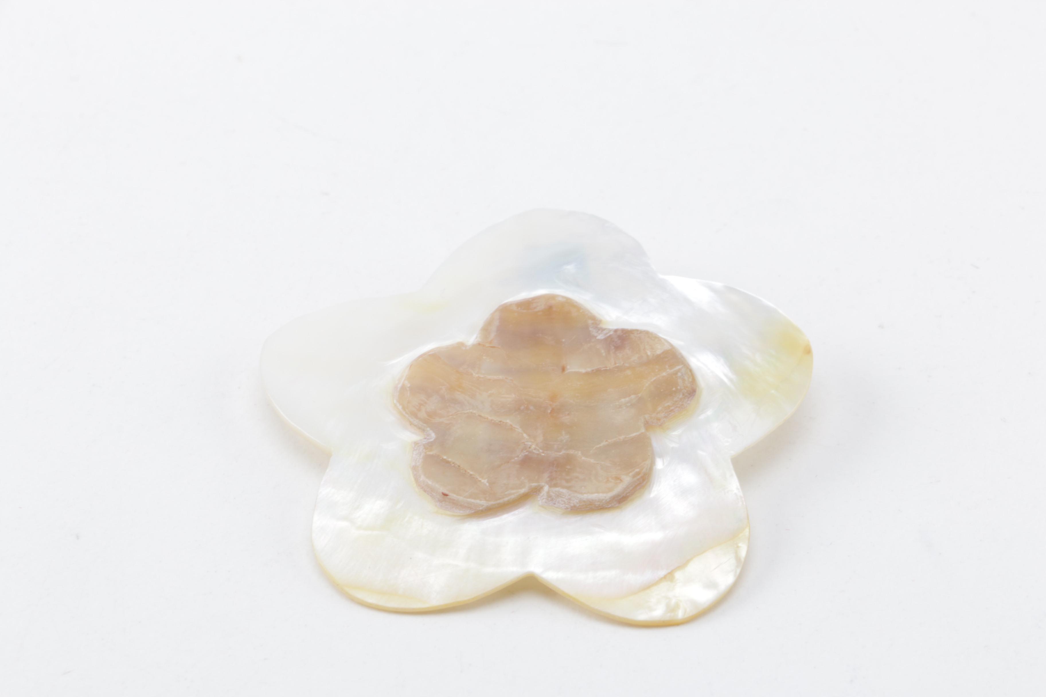 Hygiene Tools with Mother of Pearl Handles