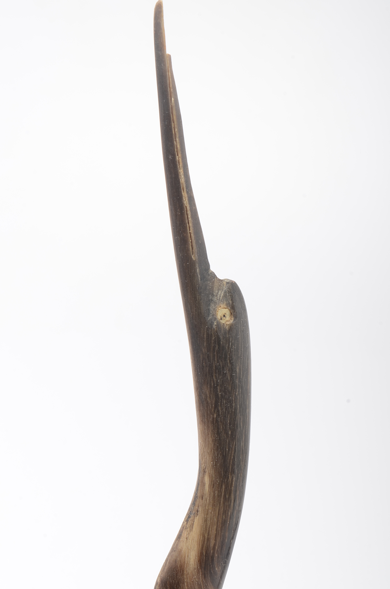 Carved Horn Bird Sculptures