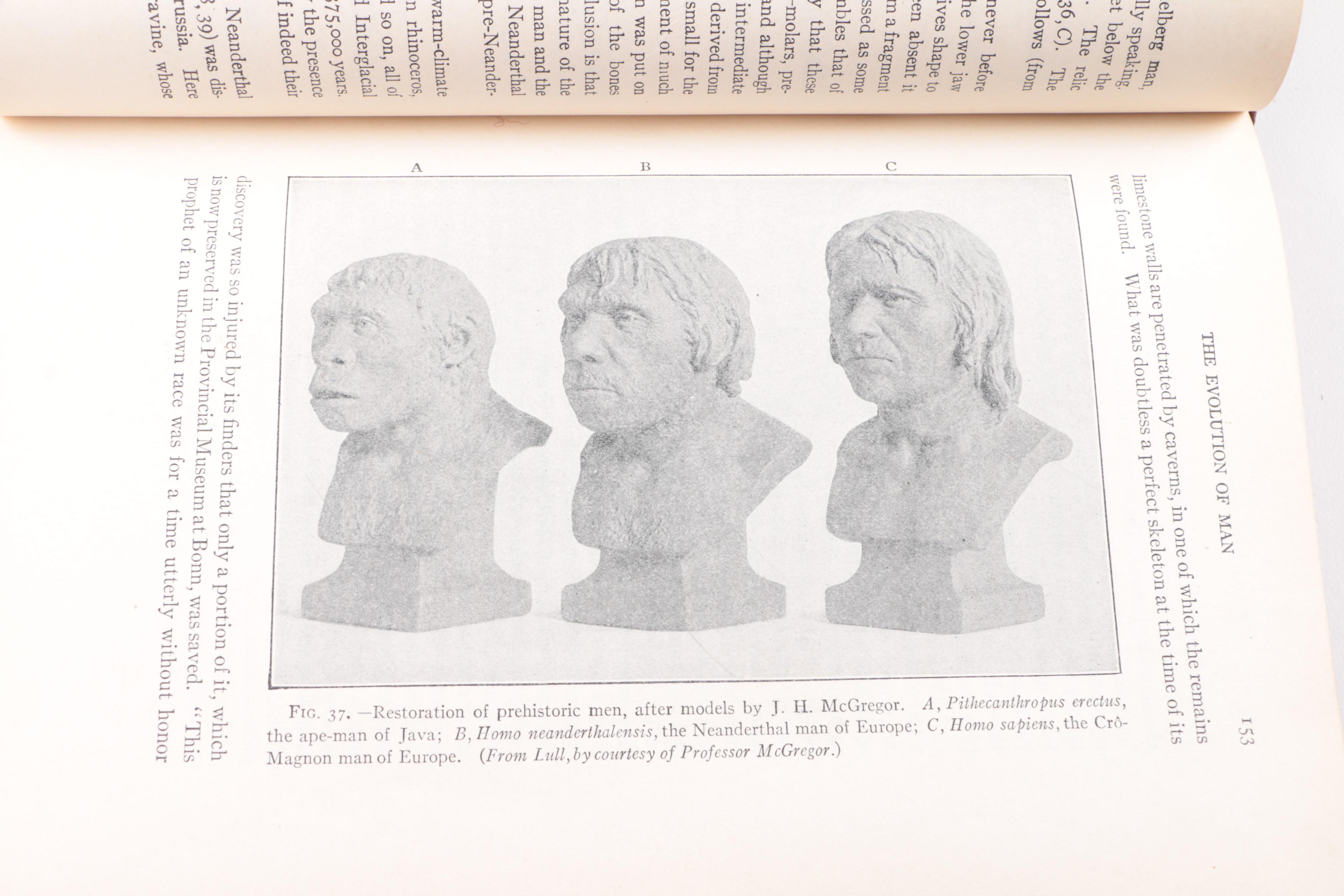 1932 "Evolution, Genetics and Eugenics" by Horatio Hackett Newman