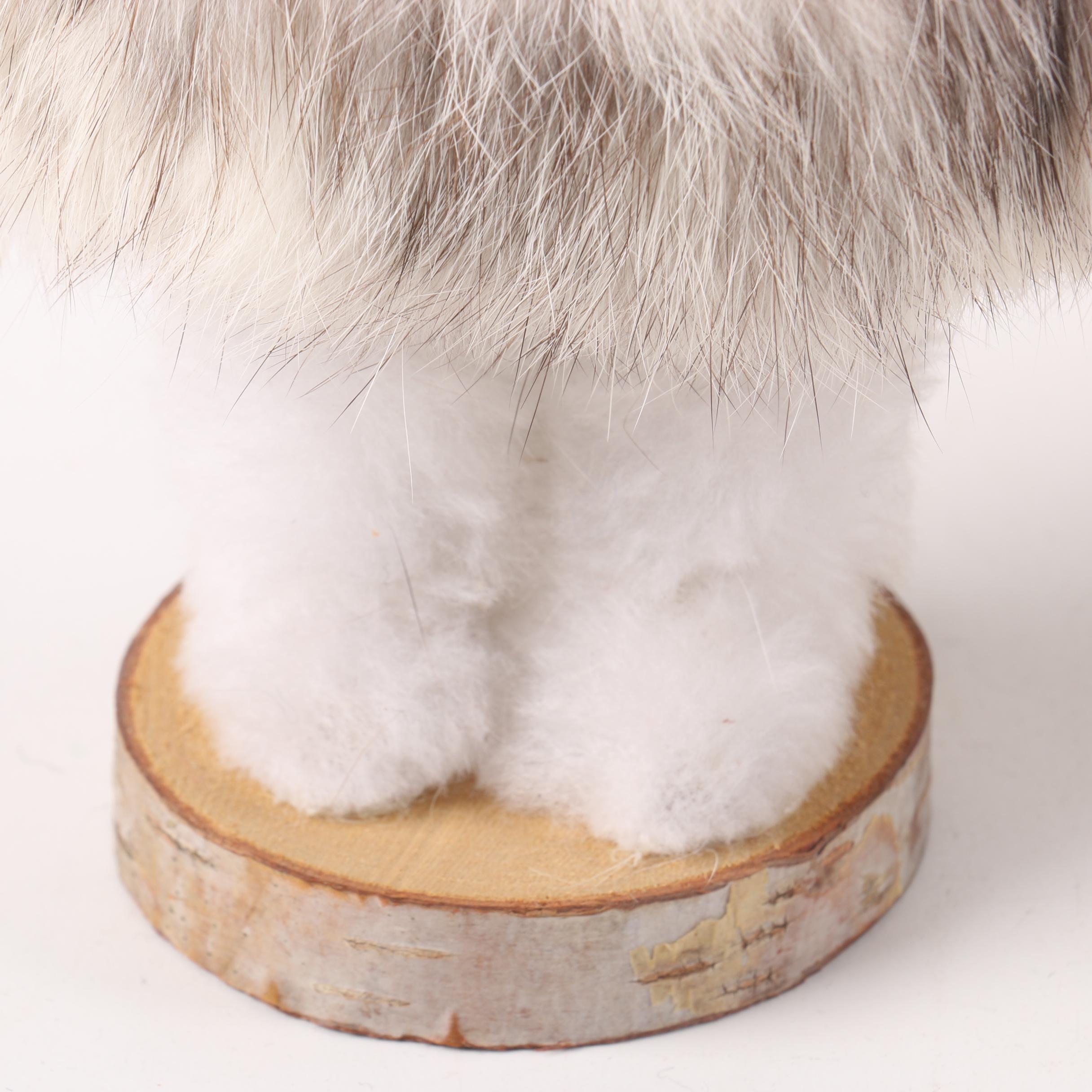 Inuit and Native American Inspired Dolls