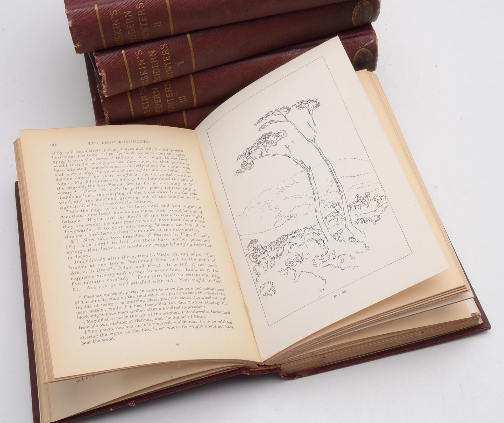 1873 "Ruskin's Modern Painters" in Five Volumes