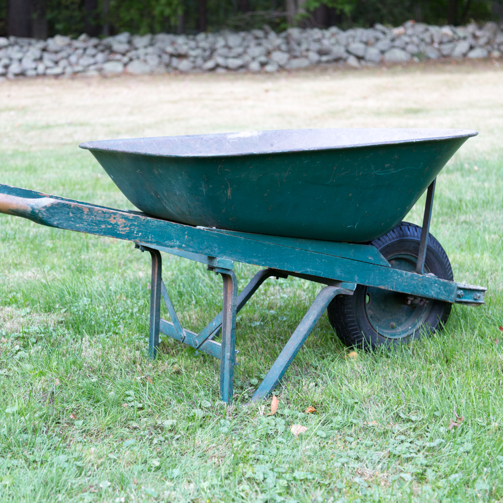 Collection of Lawn Equipment