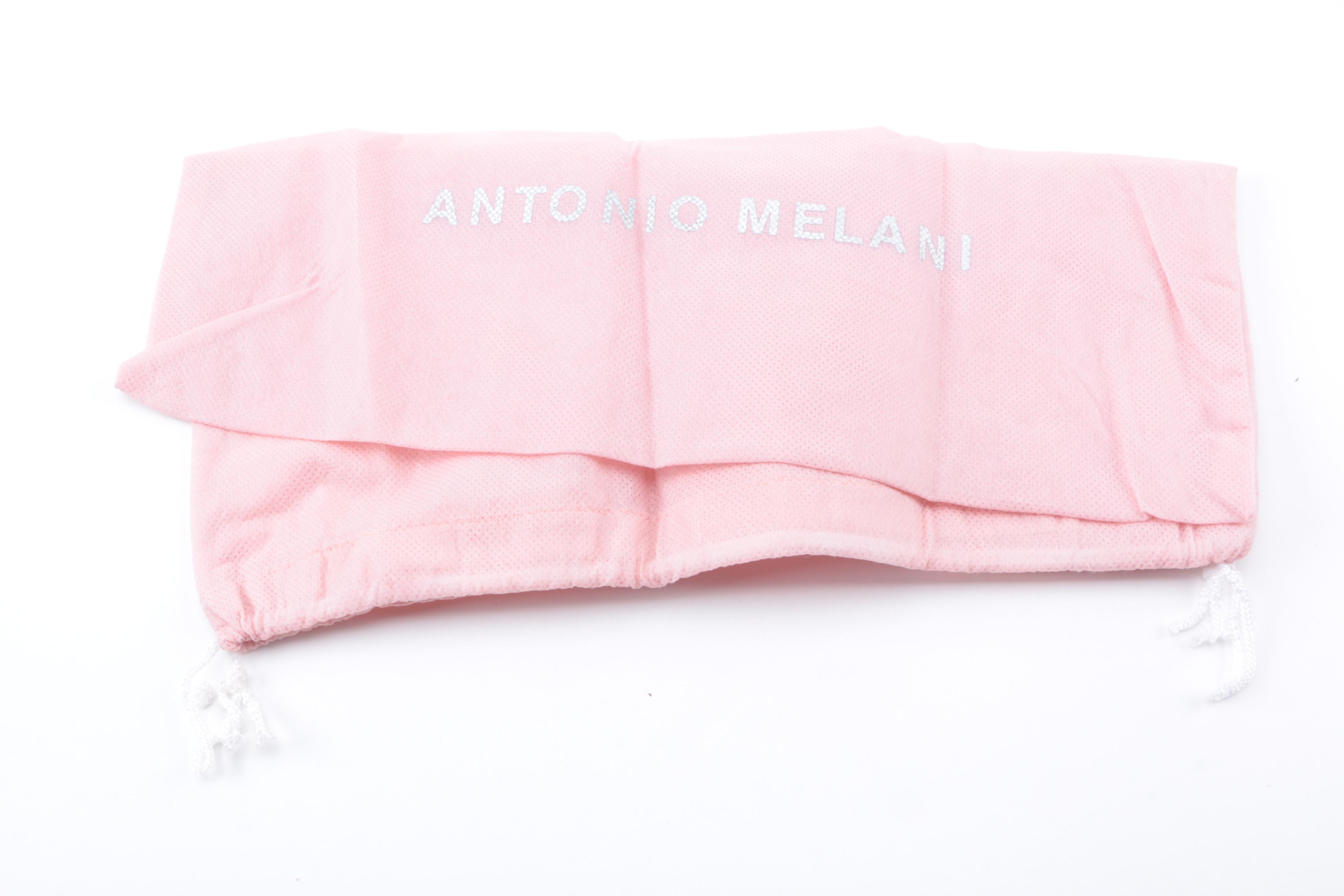 Lauren Ralph Lauren and Antonio Melani Handbags