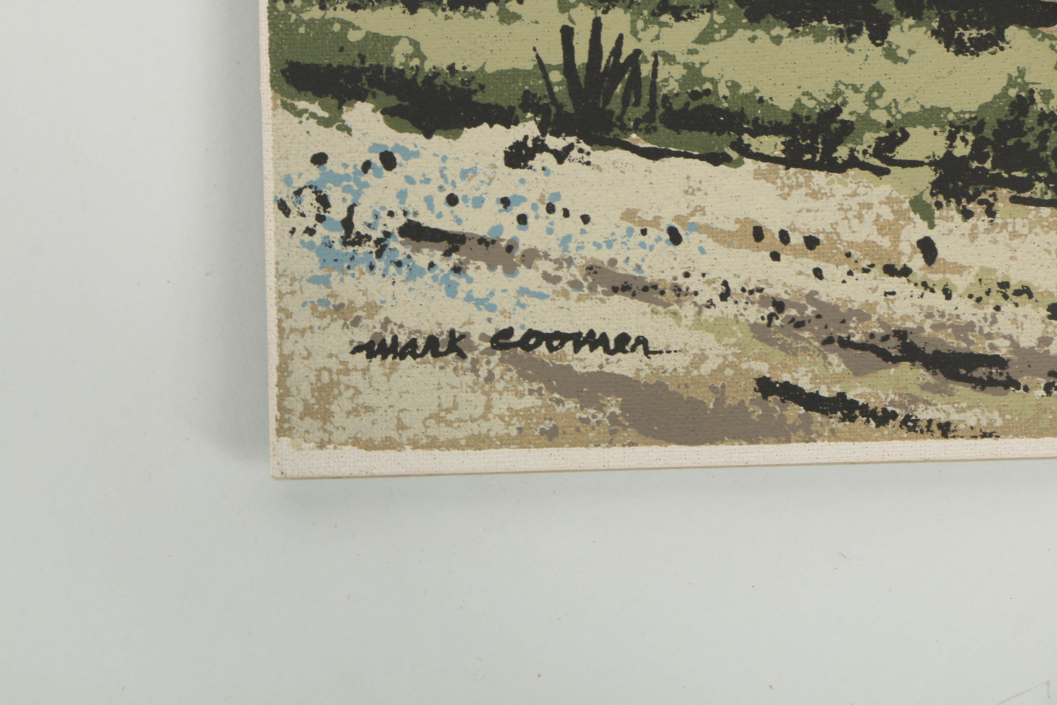 Collection of Mark Coomer Serigraphs on Boards of Architecture and Figures