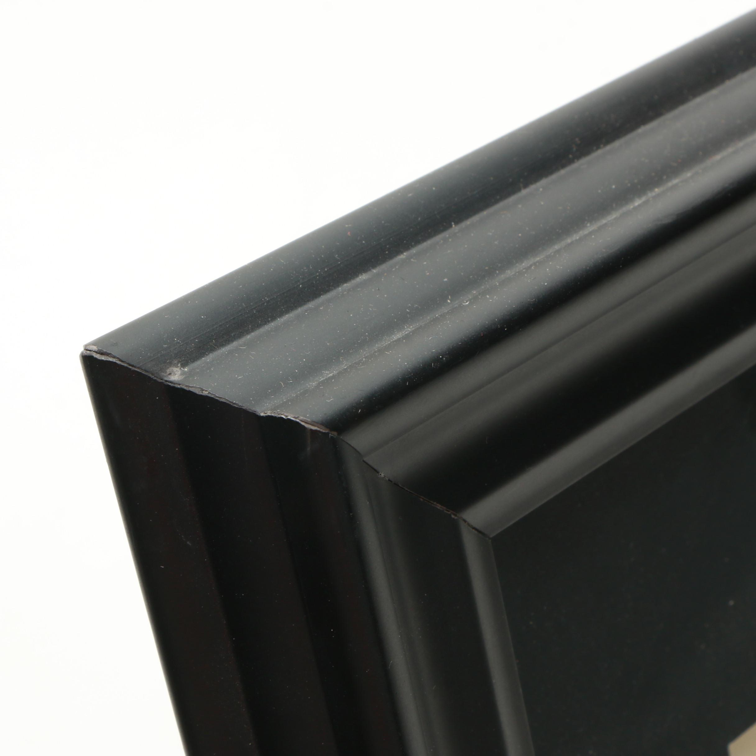 Set of Nicki Williams Lithographs of Gates of Charleston