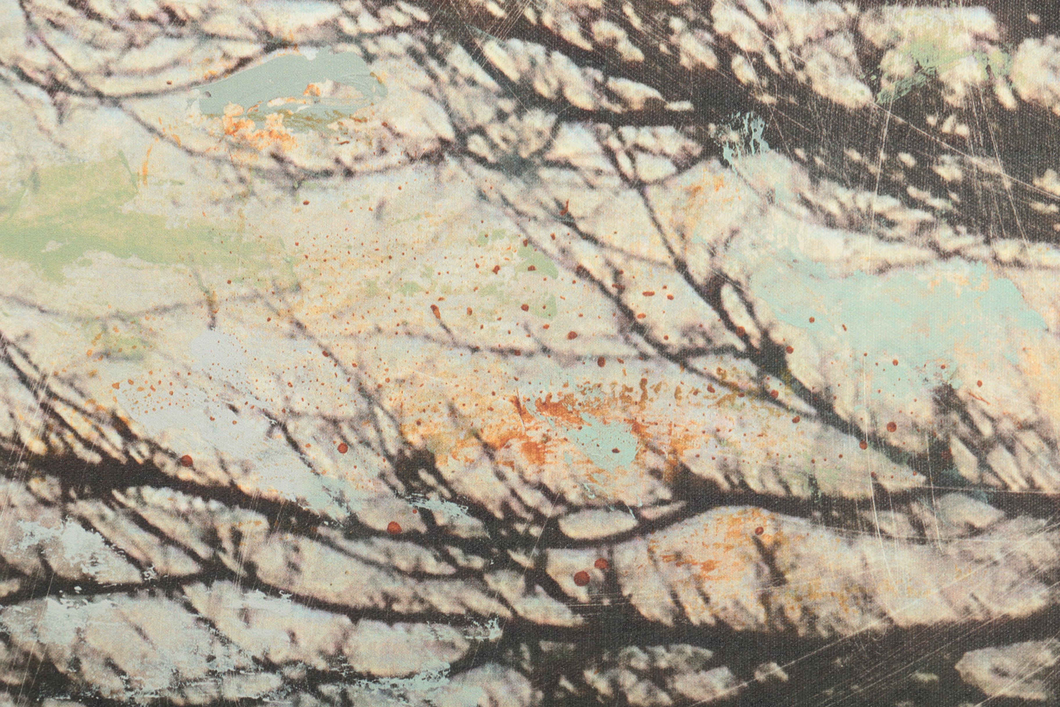 Sara Abbott Limited Edition Reproduction Print "Enchanted II"