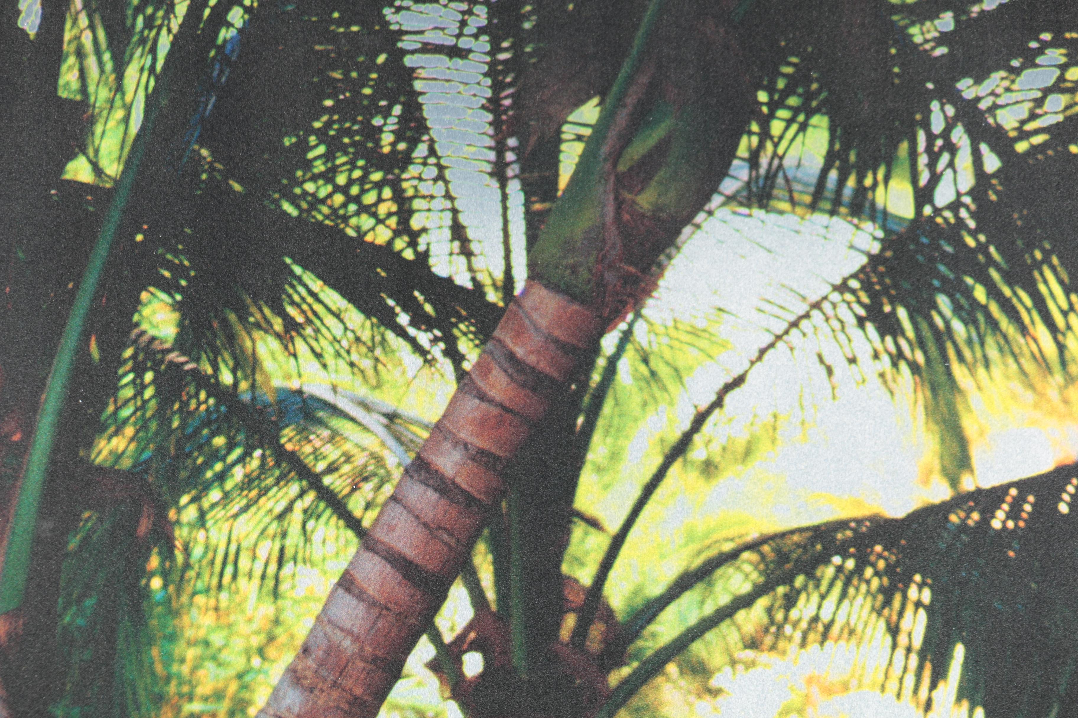 Reproduction Print Photograph on Metal After Slim Aarons' "Oberon’s Lunch"