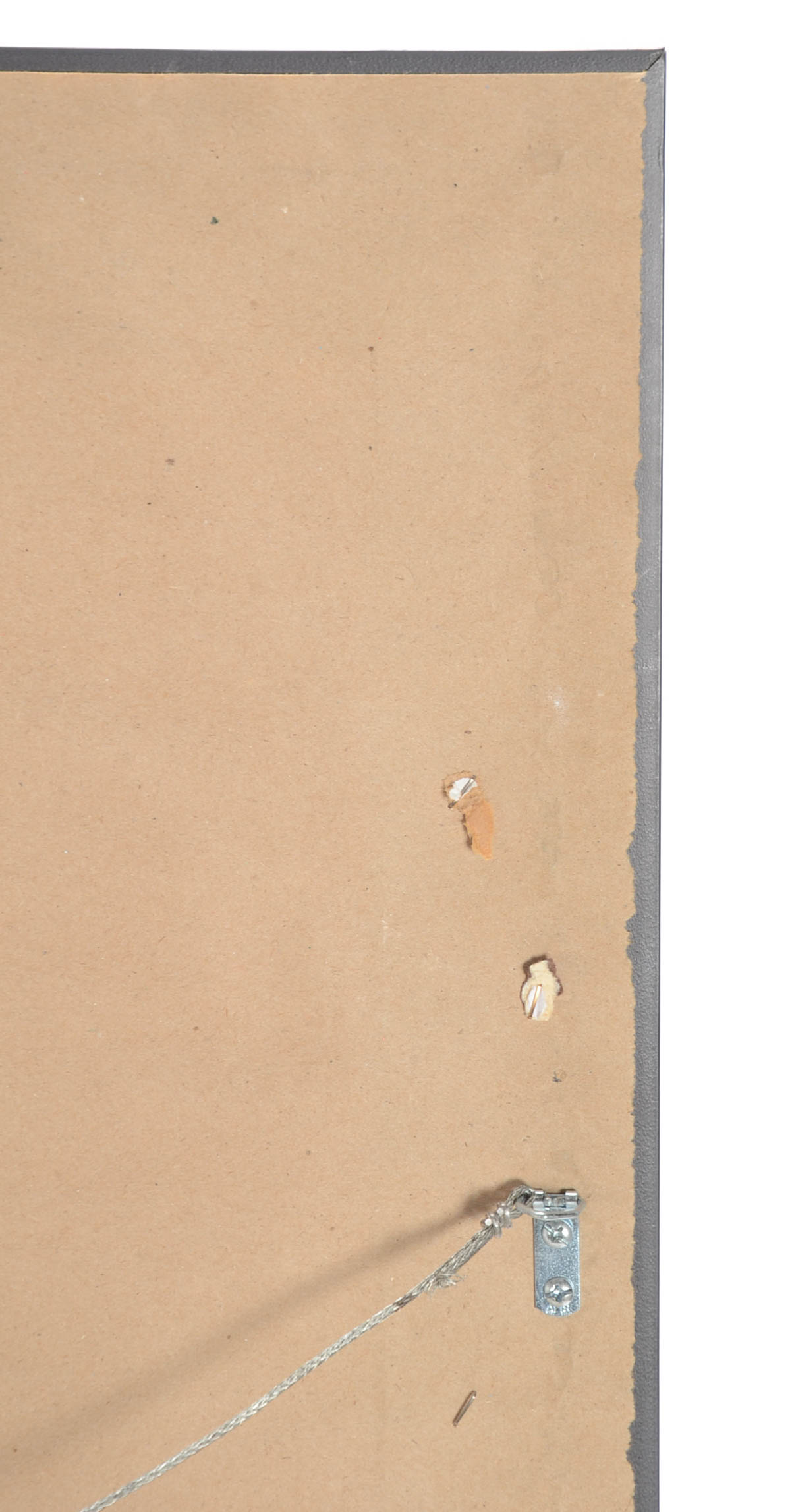 Pair of Patricia Quintero-Pinto Offset Lithograph Prints of Dragonflies