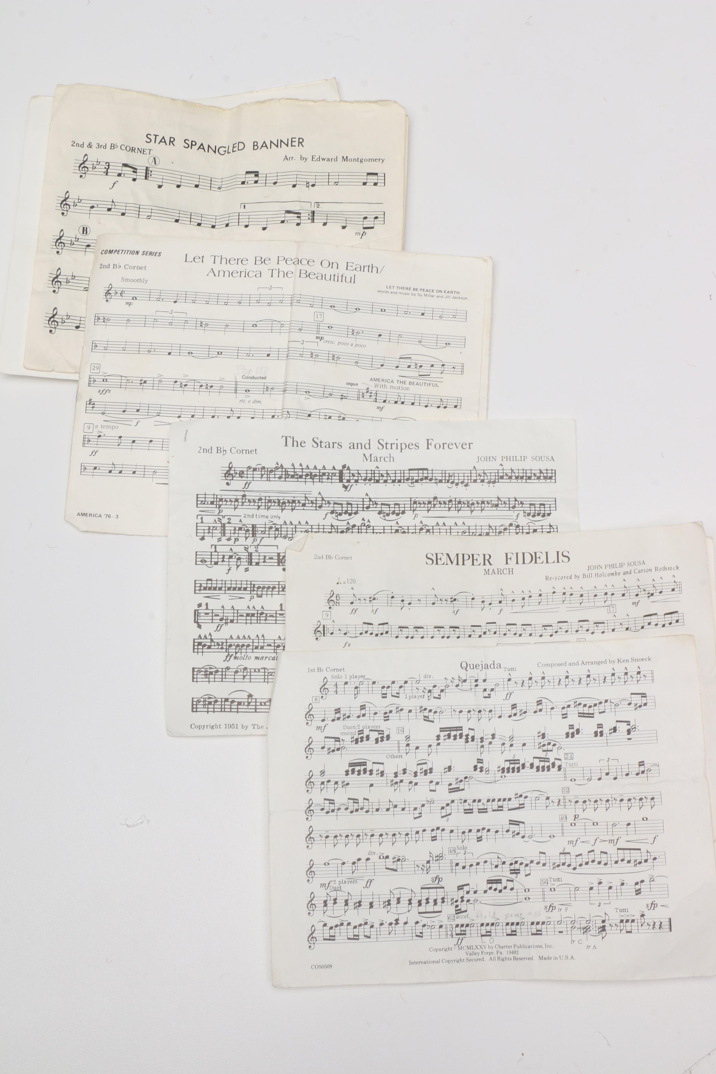 Vintage Olds Ambassador Coronet, Case and Mute