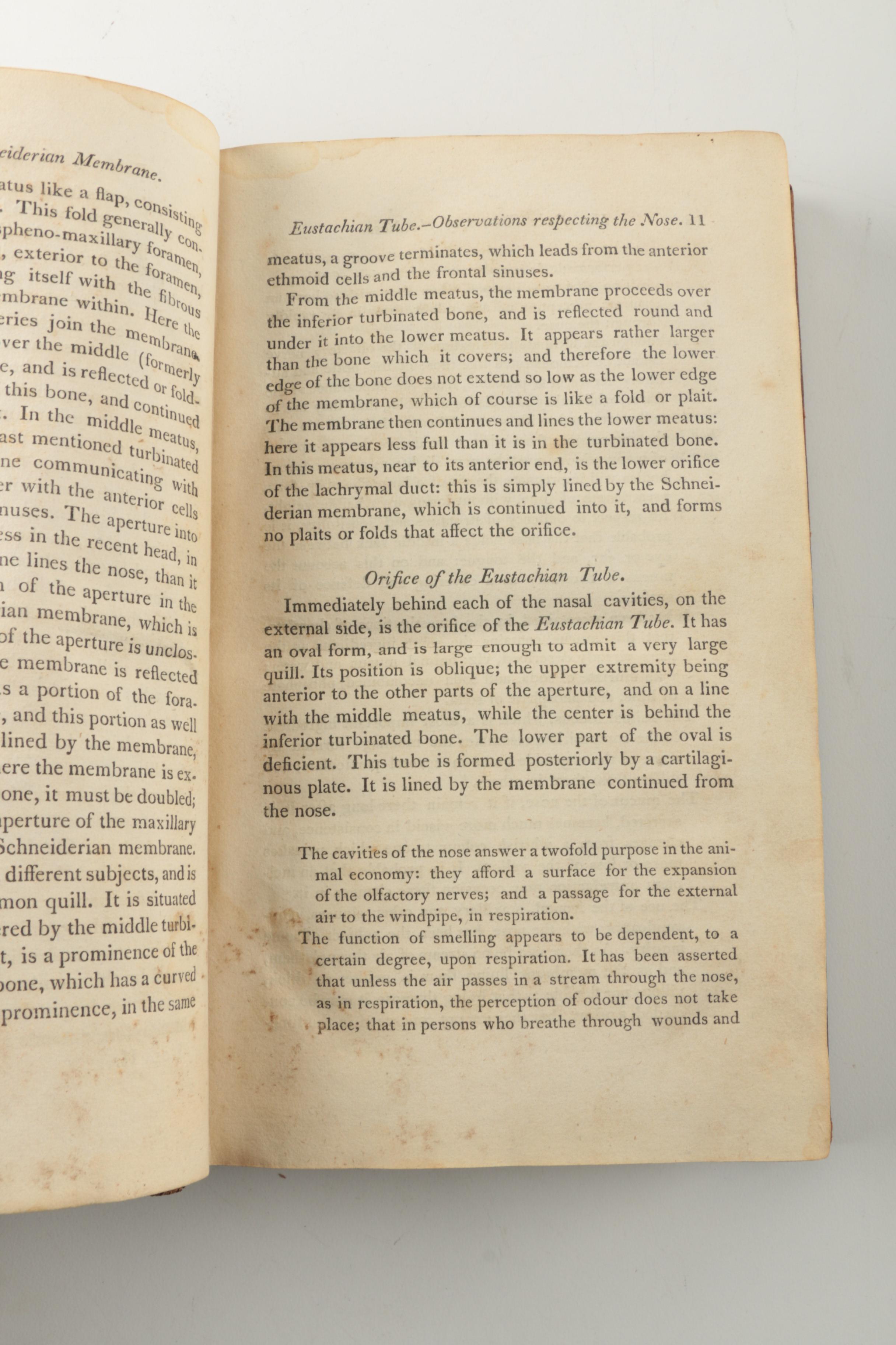 1817 "A System of Anatomy for the Use of Students of Medicine, Volume II"