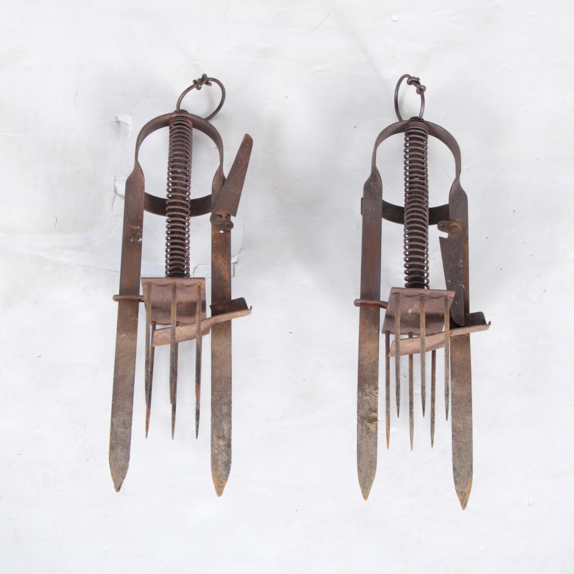 Collection of Gardening Tools