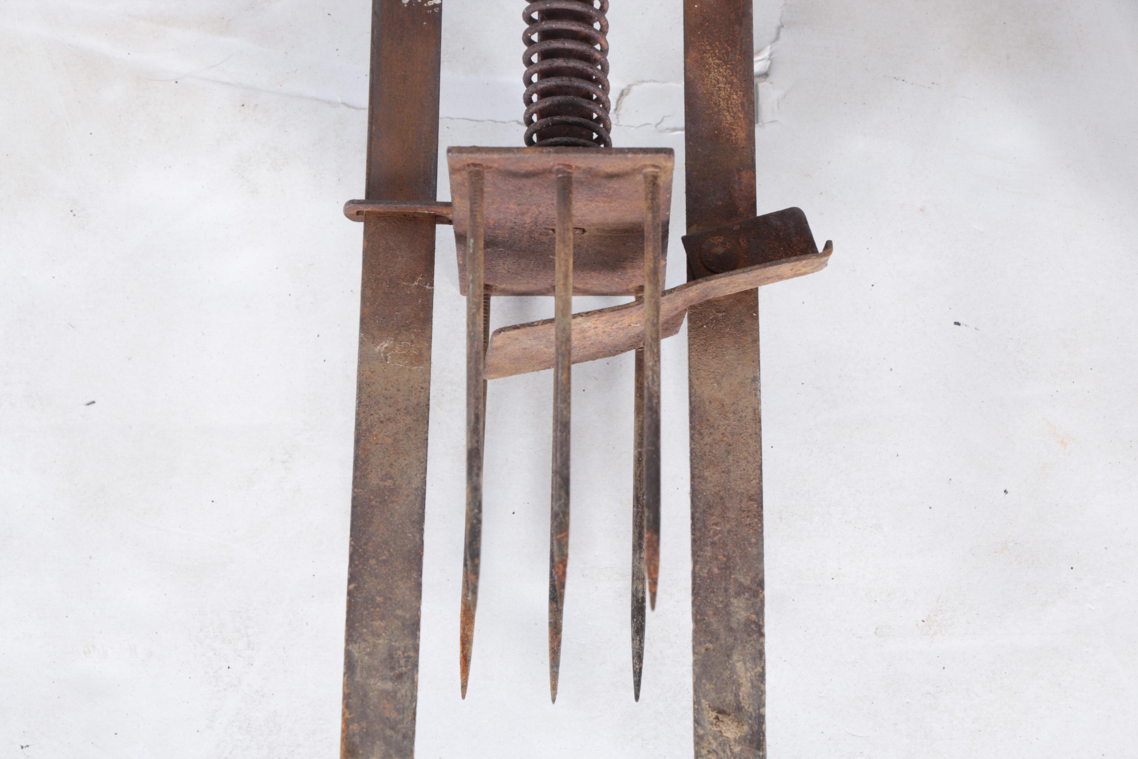 Collection of Gardening Tools