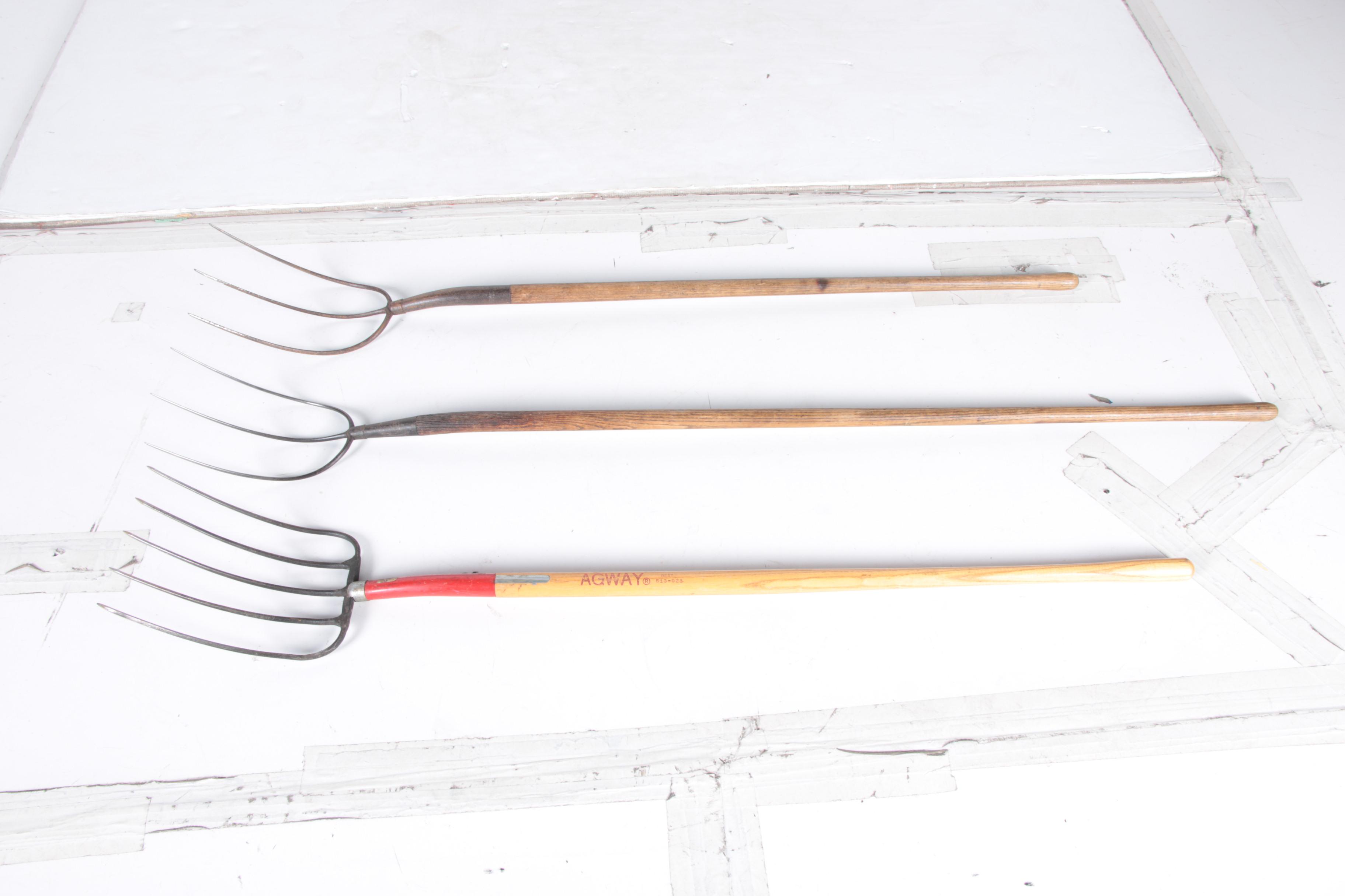 Collection of Gardening Tools