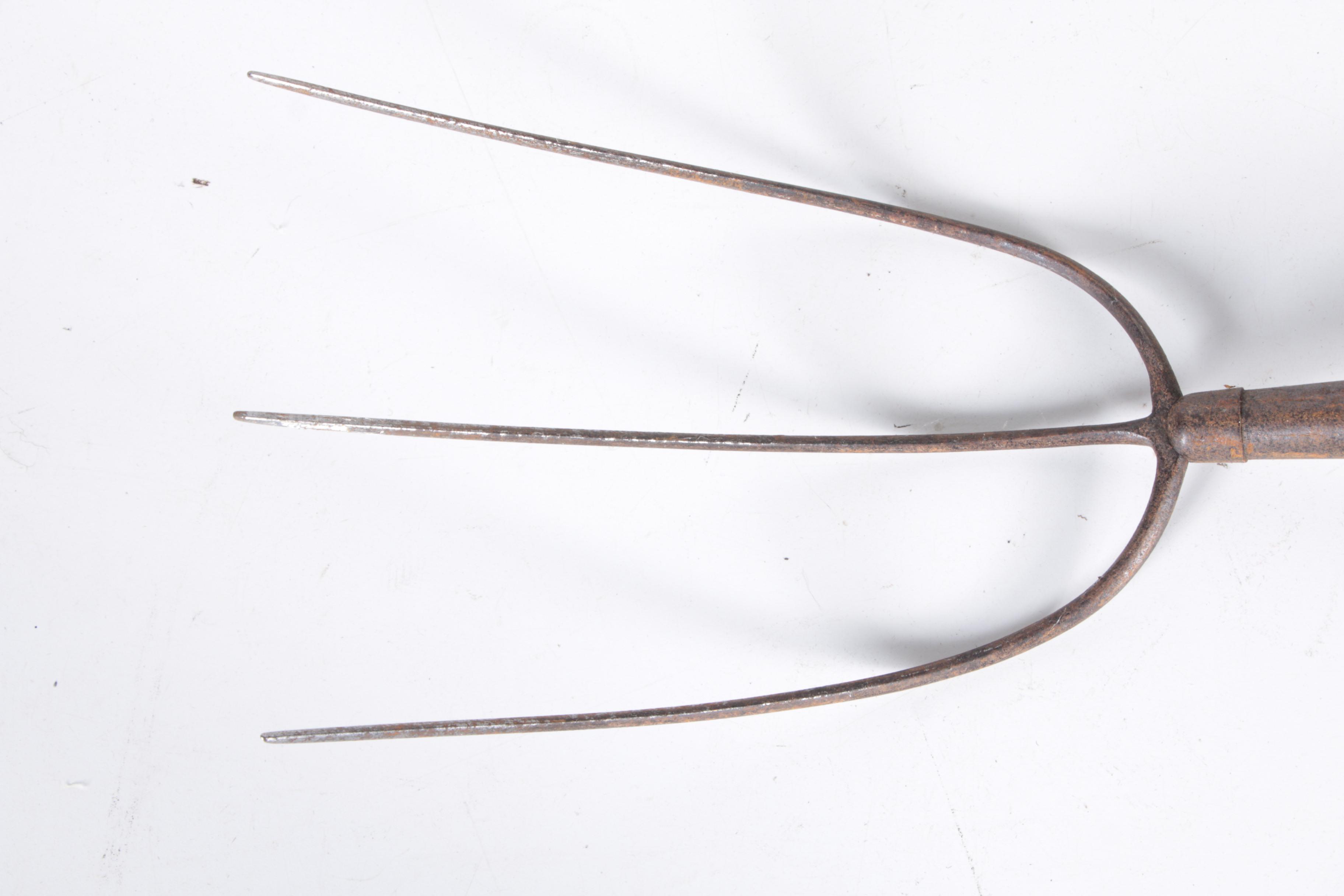 Collection of Gardening Tools