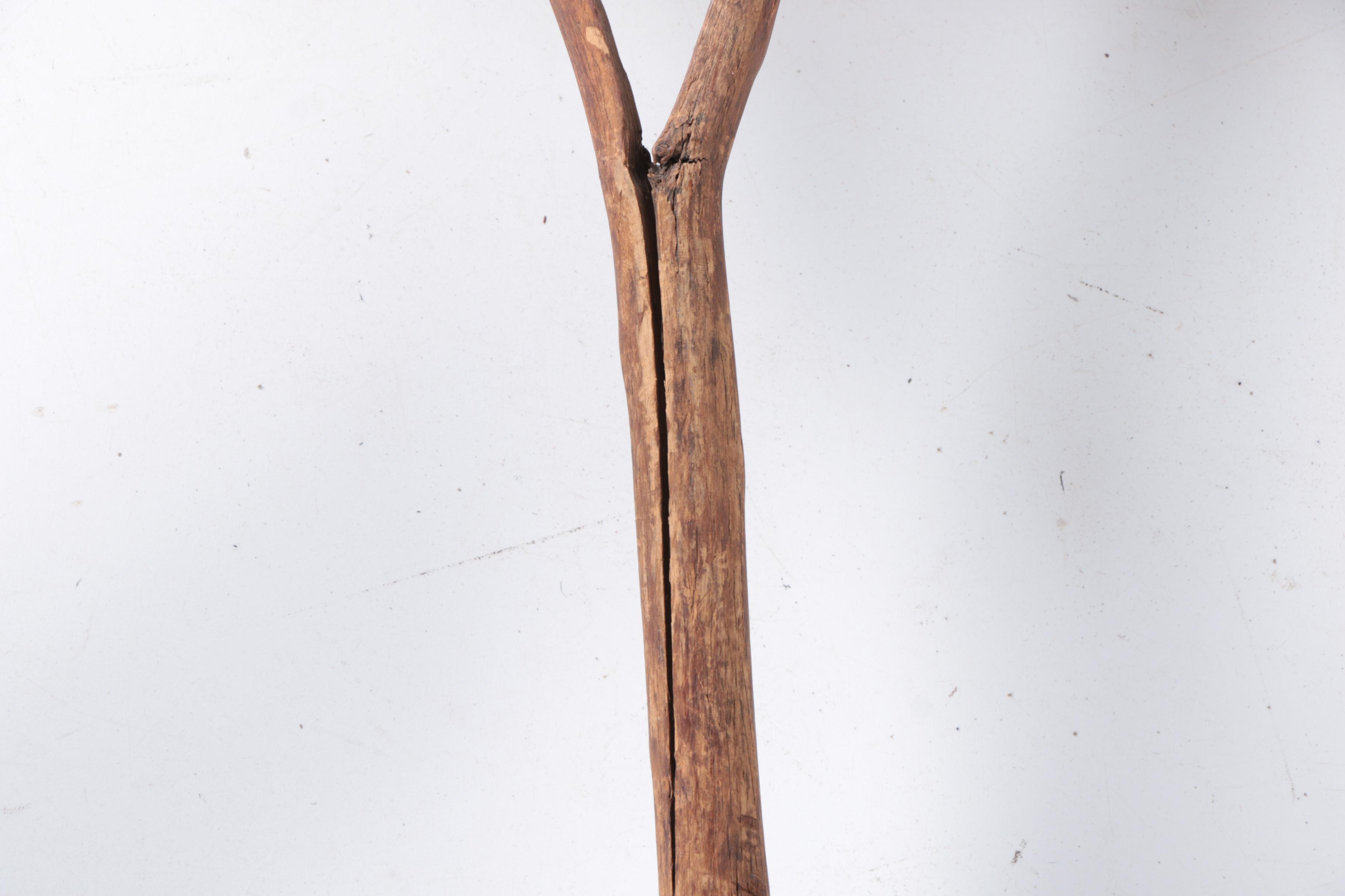 Collection of Gardening Tools