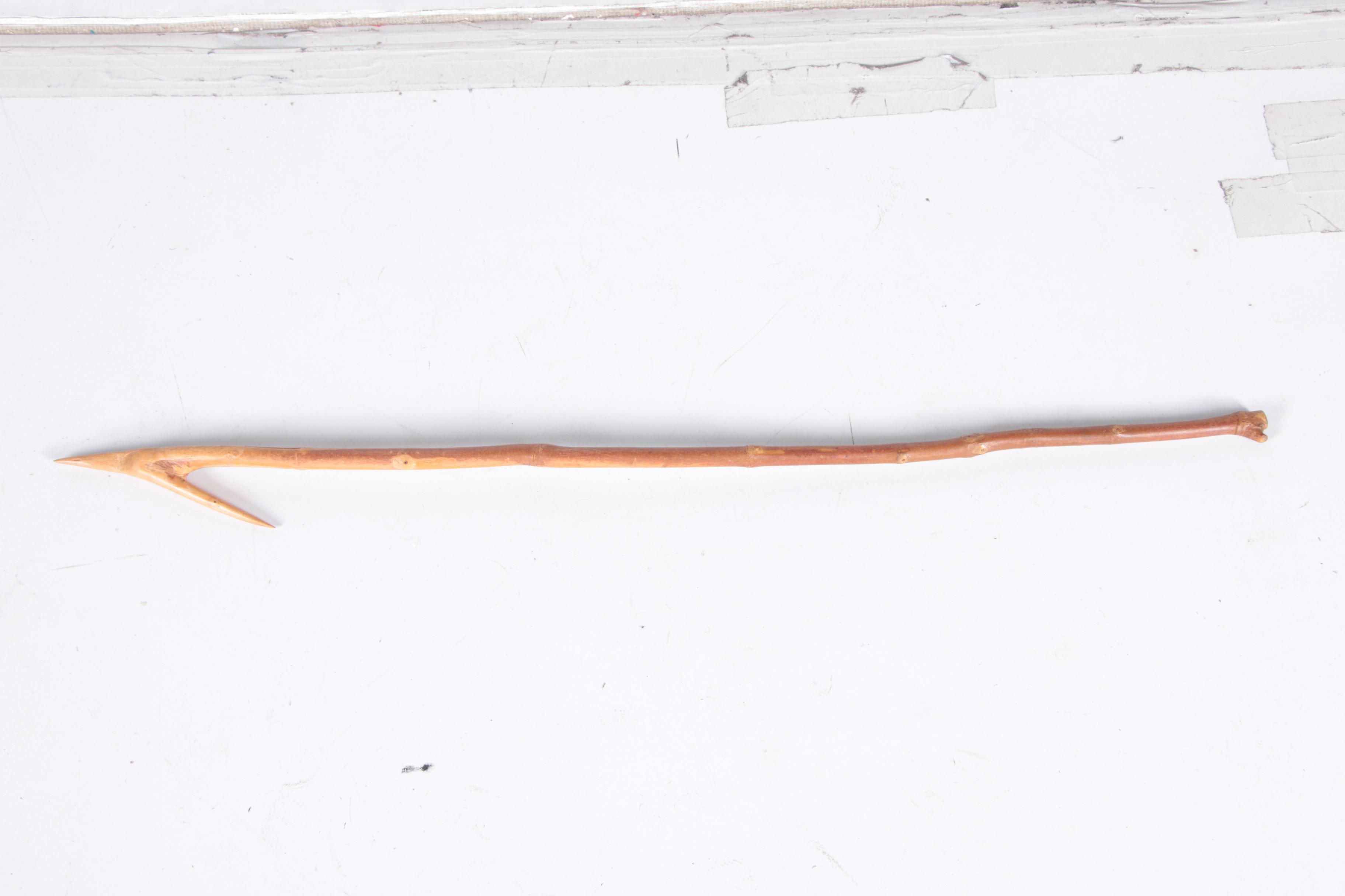 Collection of Gardening Tools