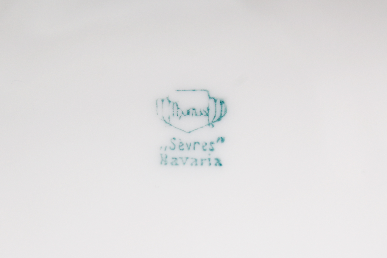 Pair of Antique Porcelain China Plates