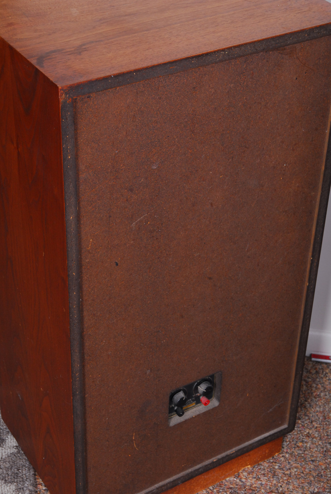 Rectilinear Stereo Speakers