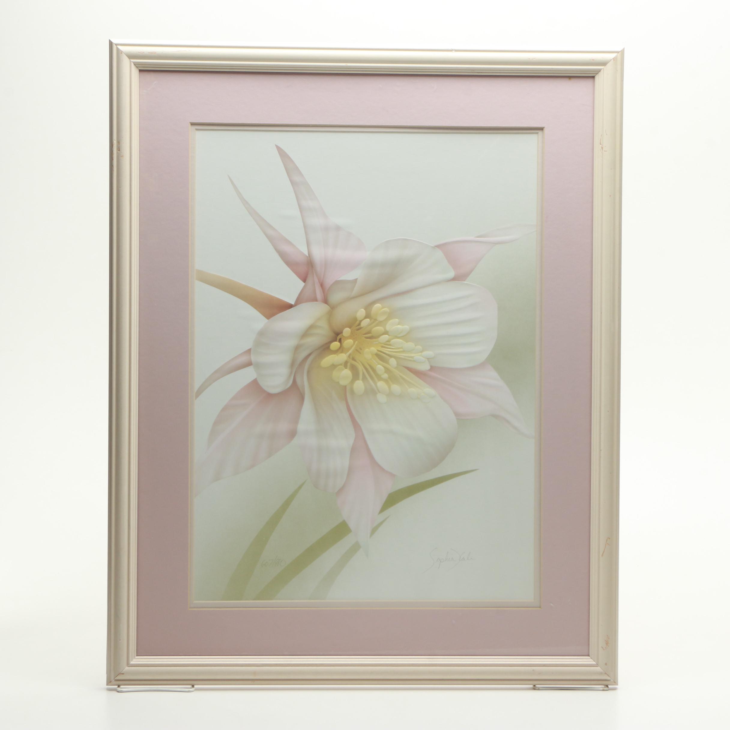 Sophia Kali Limited Edition Reproduction Print of a Columbine