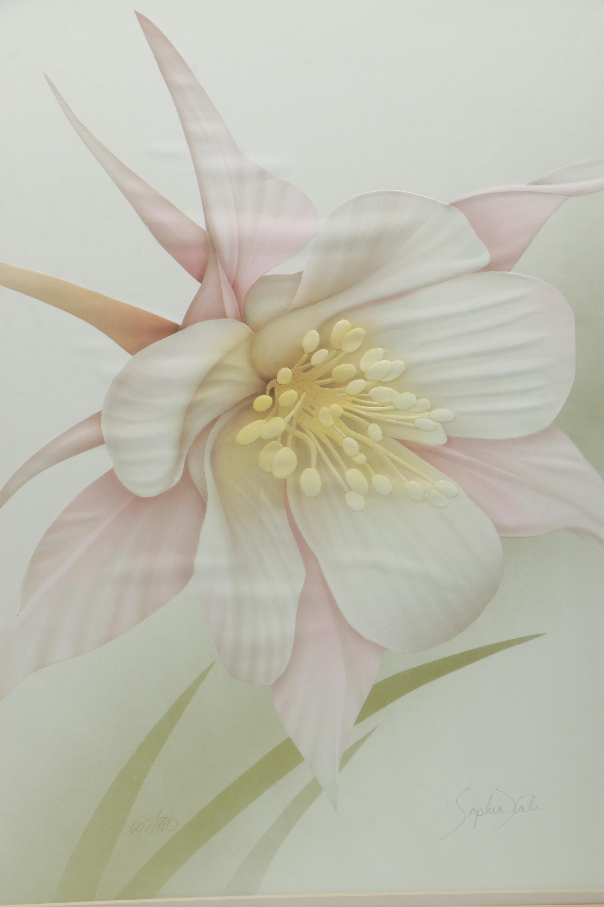 Sophia Kali Limited Edition Reproduction Print of a Columbine