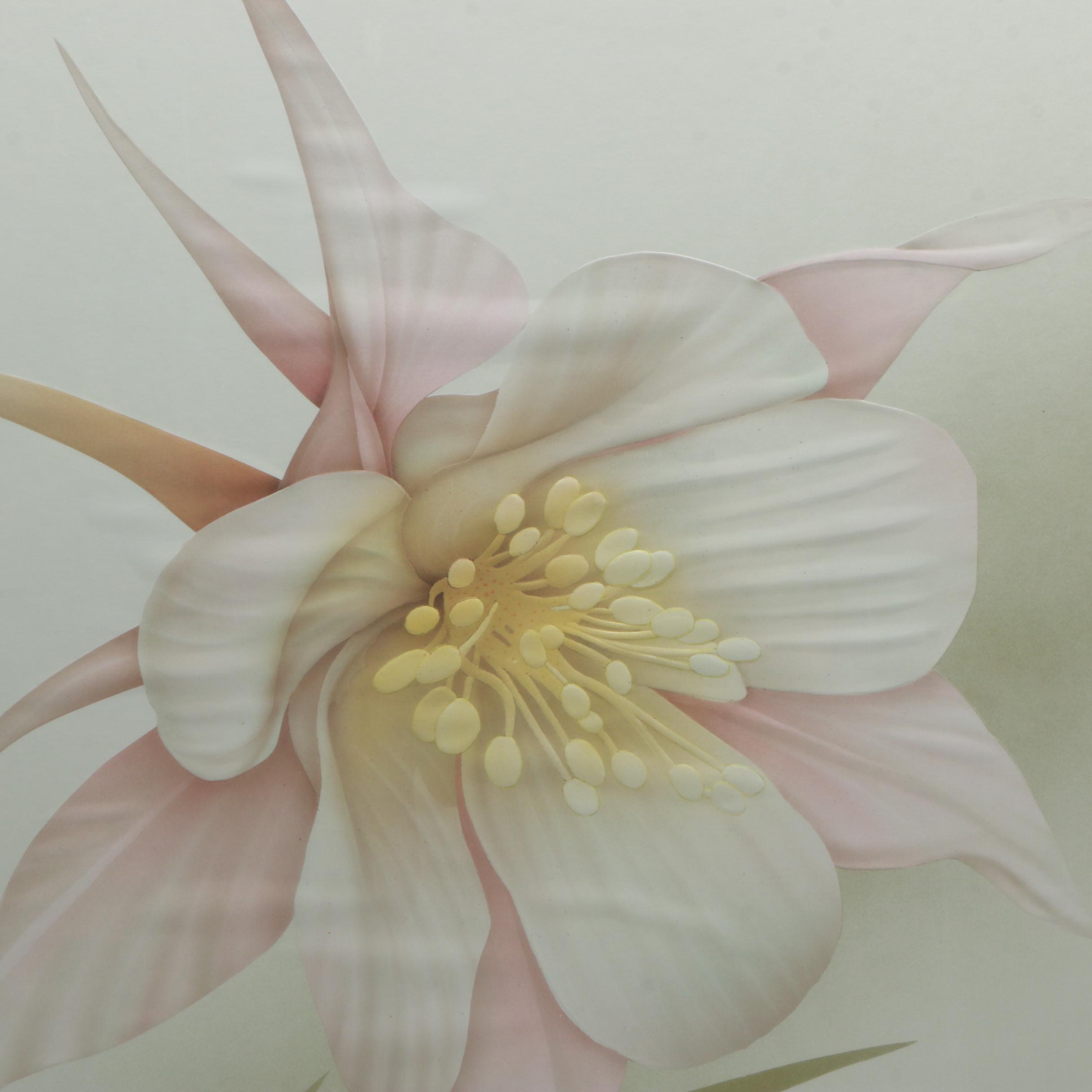 Sophia Kali Limited Edition Reproduction Print of a Columbine