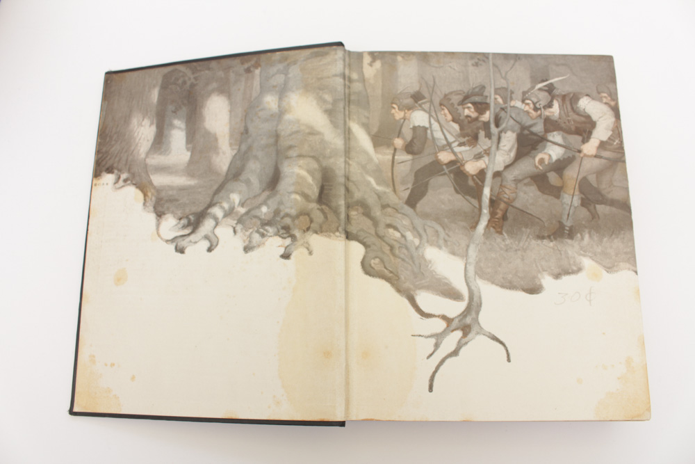 Novels with Famed Illustrators