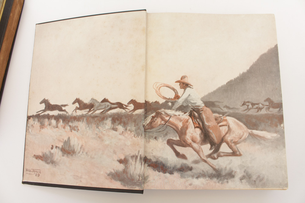 Novels with Famed Illustrators