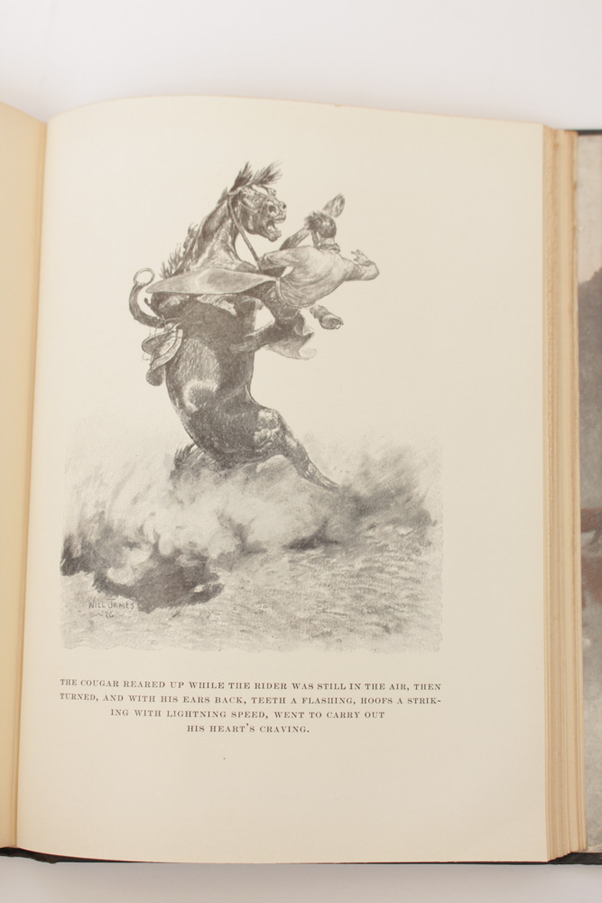 Novels with Famed Illustrators