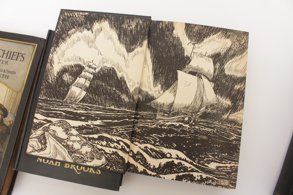 Novels with Famed Illustrators