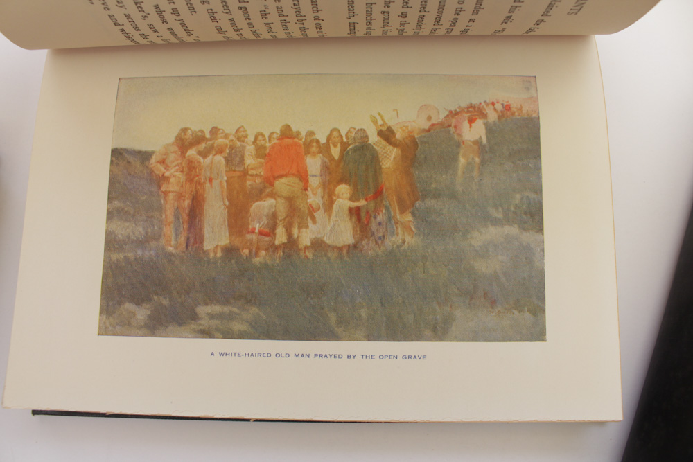 Novels with Famed Illustrators