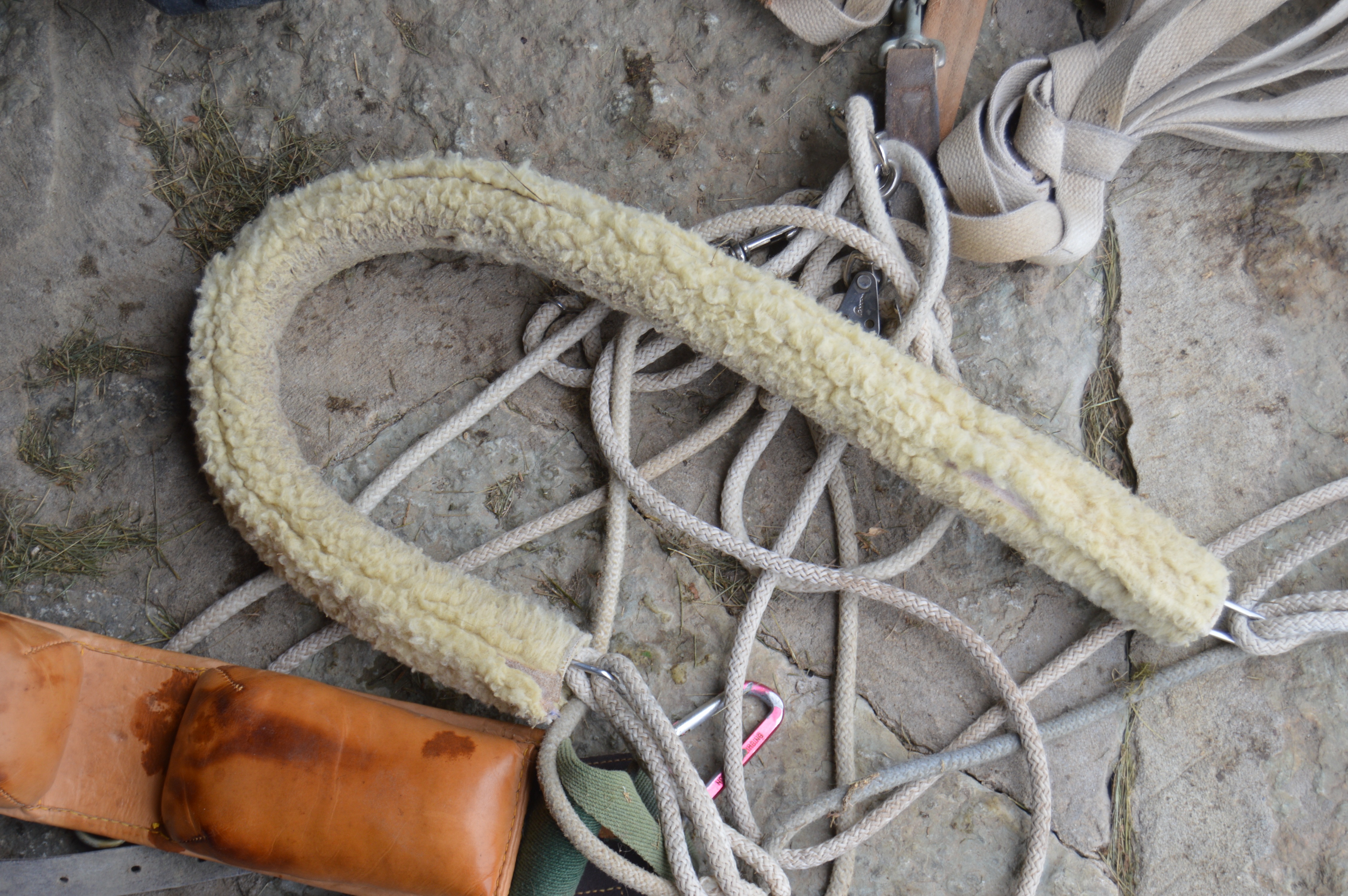 Horse Boarding Supplies and Equipment