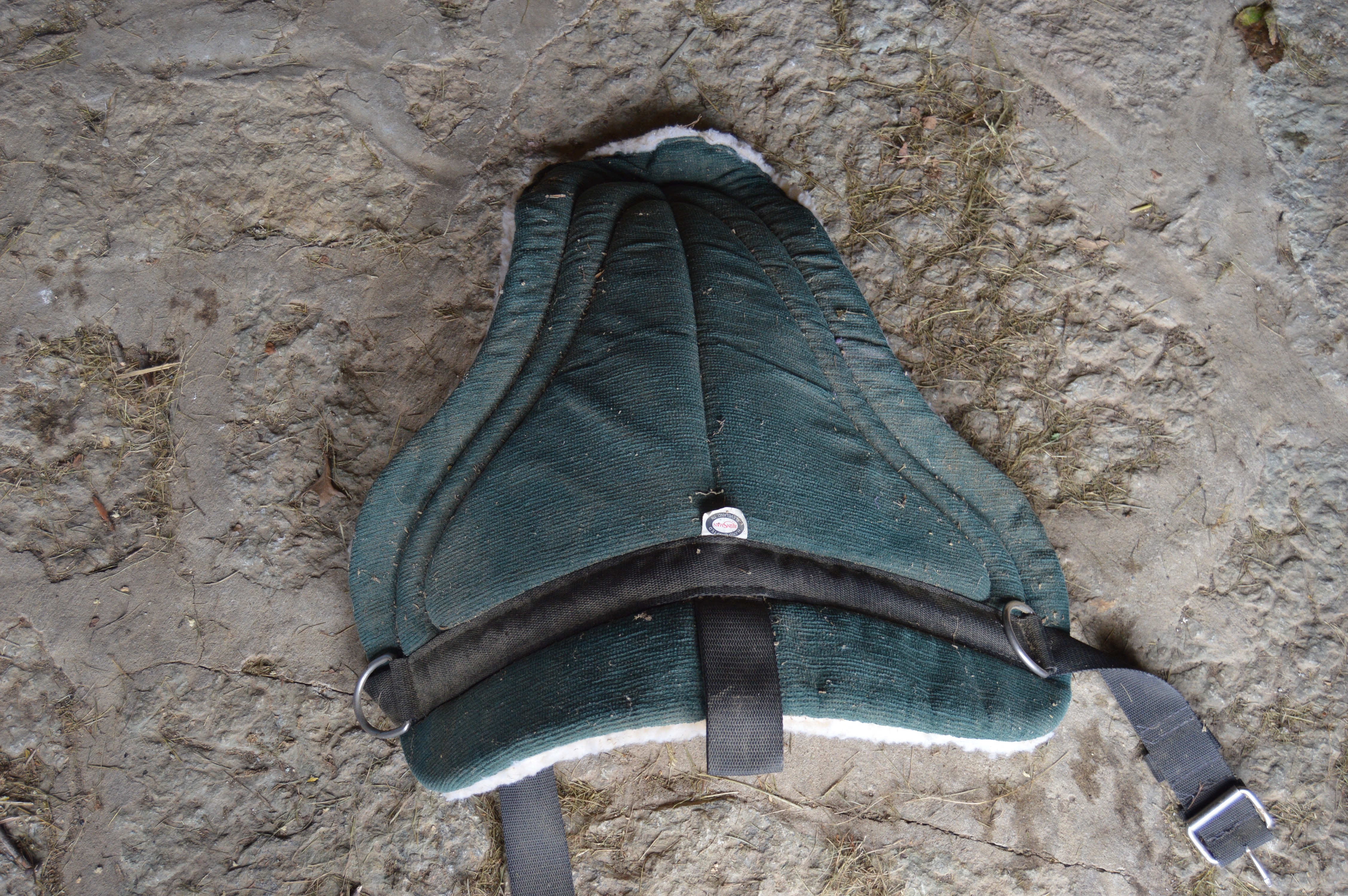 Horse Boarding Supplies and Equipment