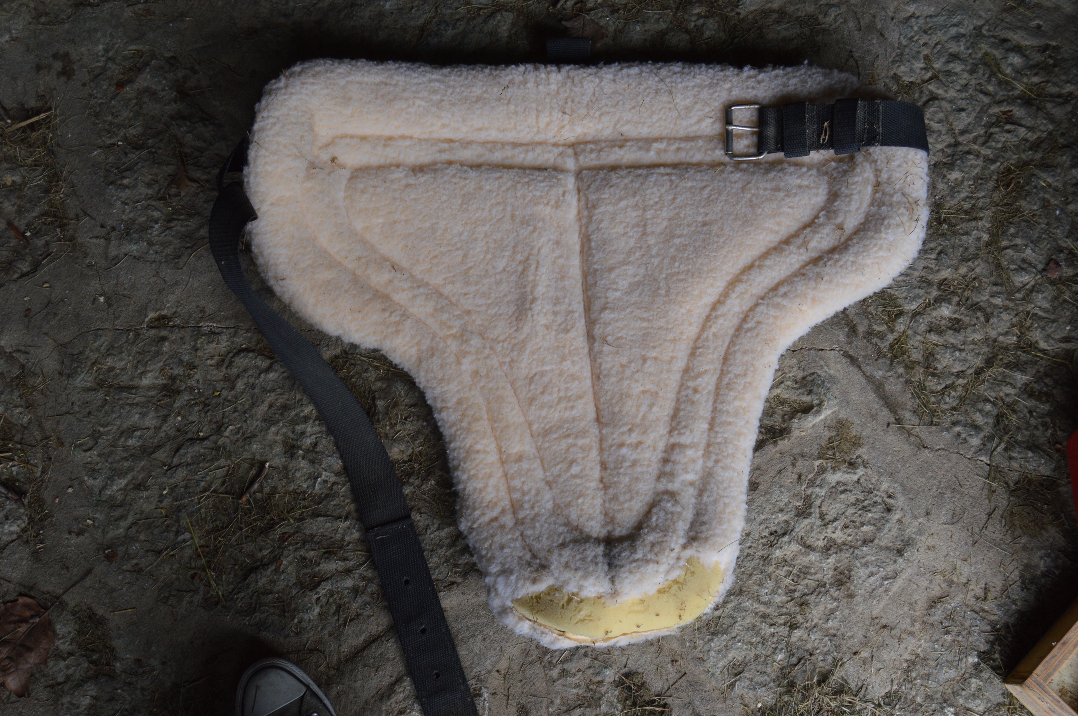 Horse Boarding Supplies and Equipment