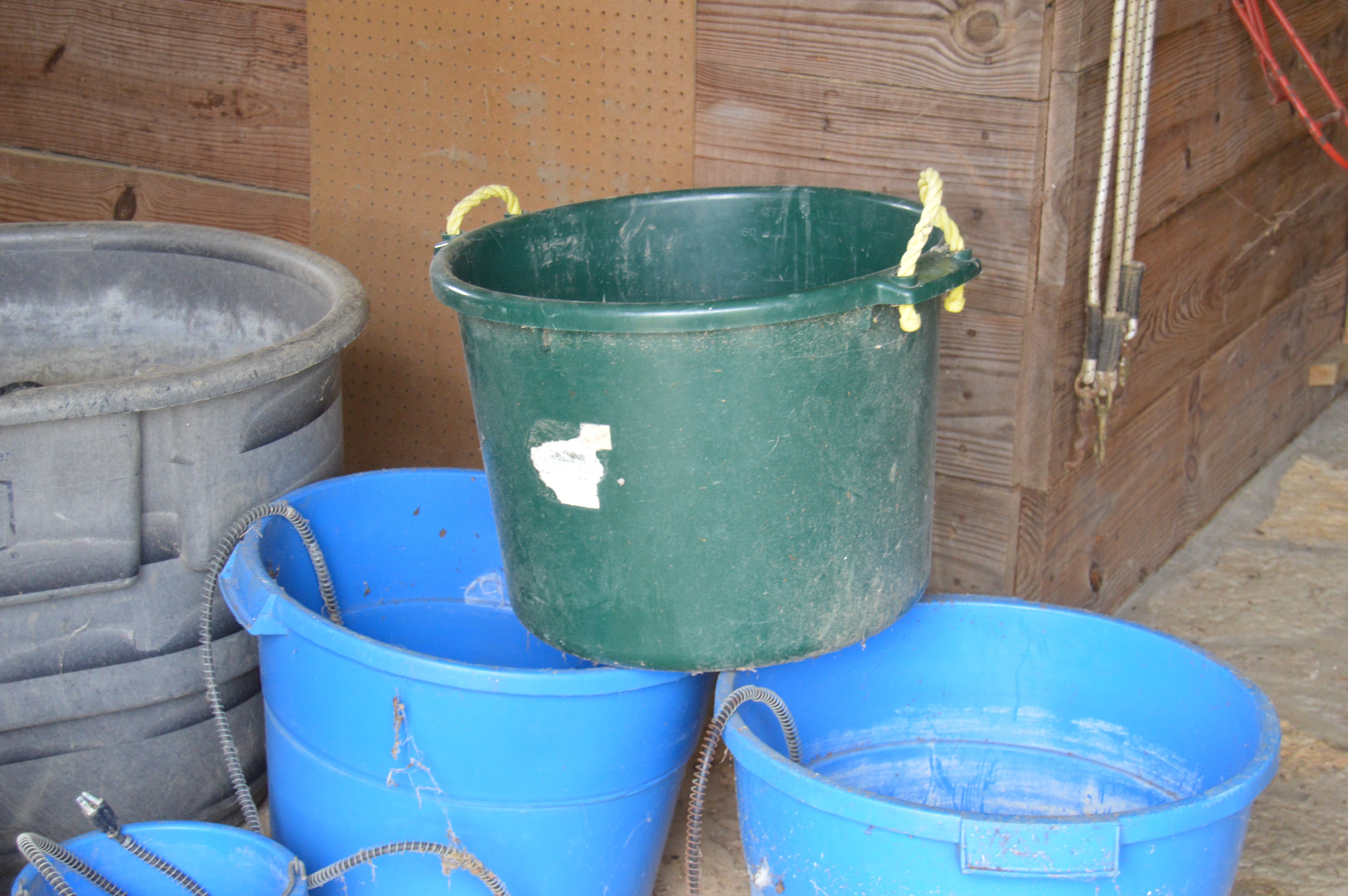 Horse Feeding Troughs with Electric Heating Elements