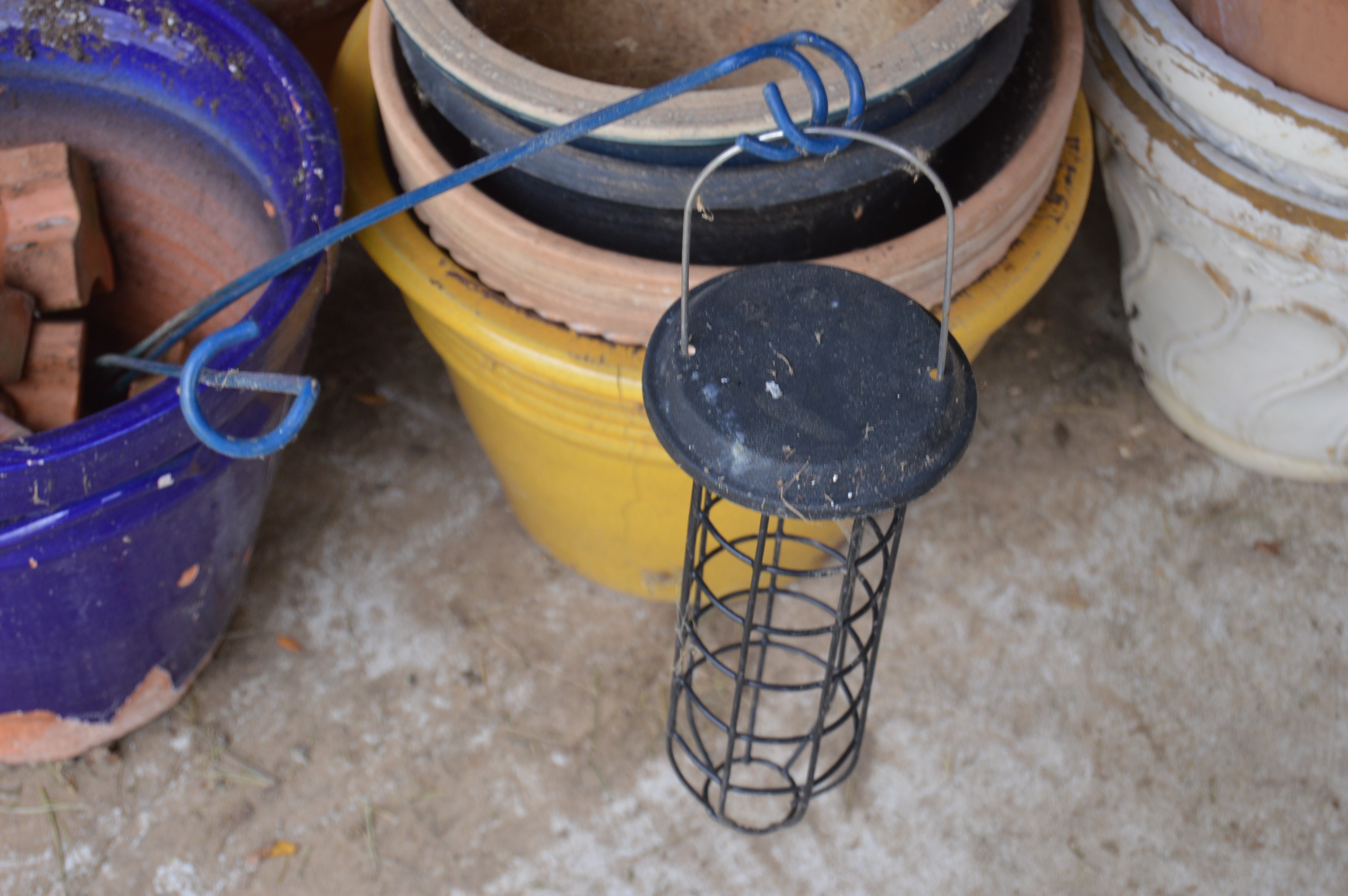 Outdoor Garden Pots and Tomato Cages