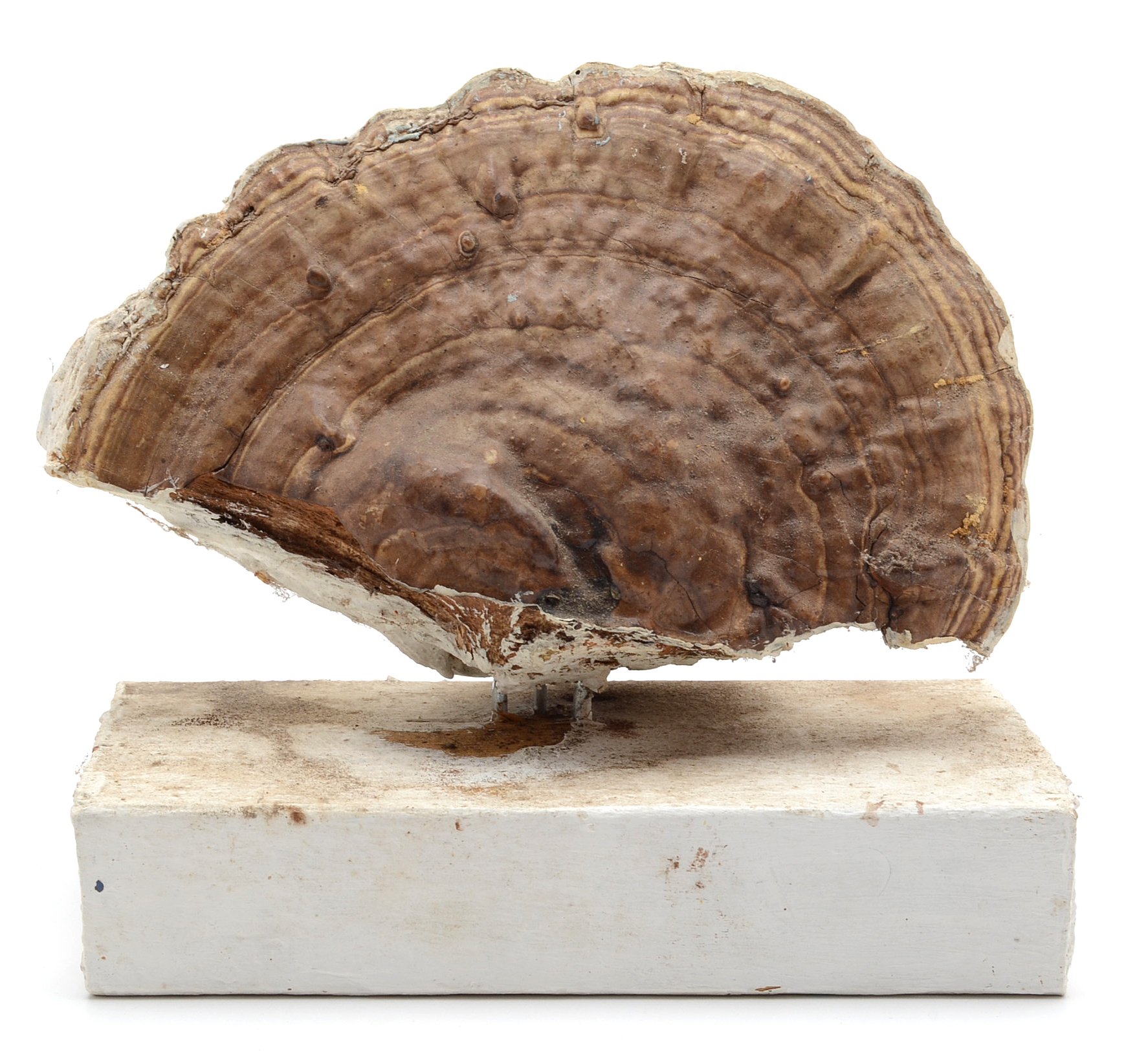 Norman Scott Quinn Folk Art Sculpture "Sho-Be-Do-Be-Do"