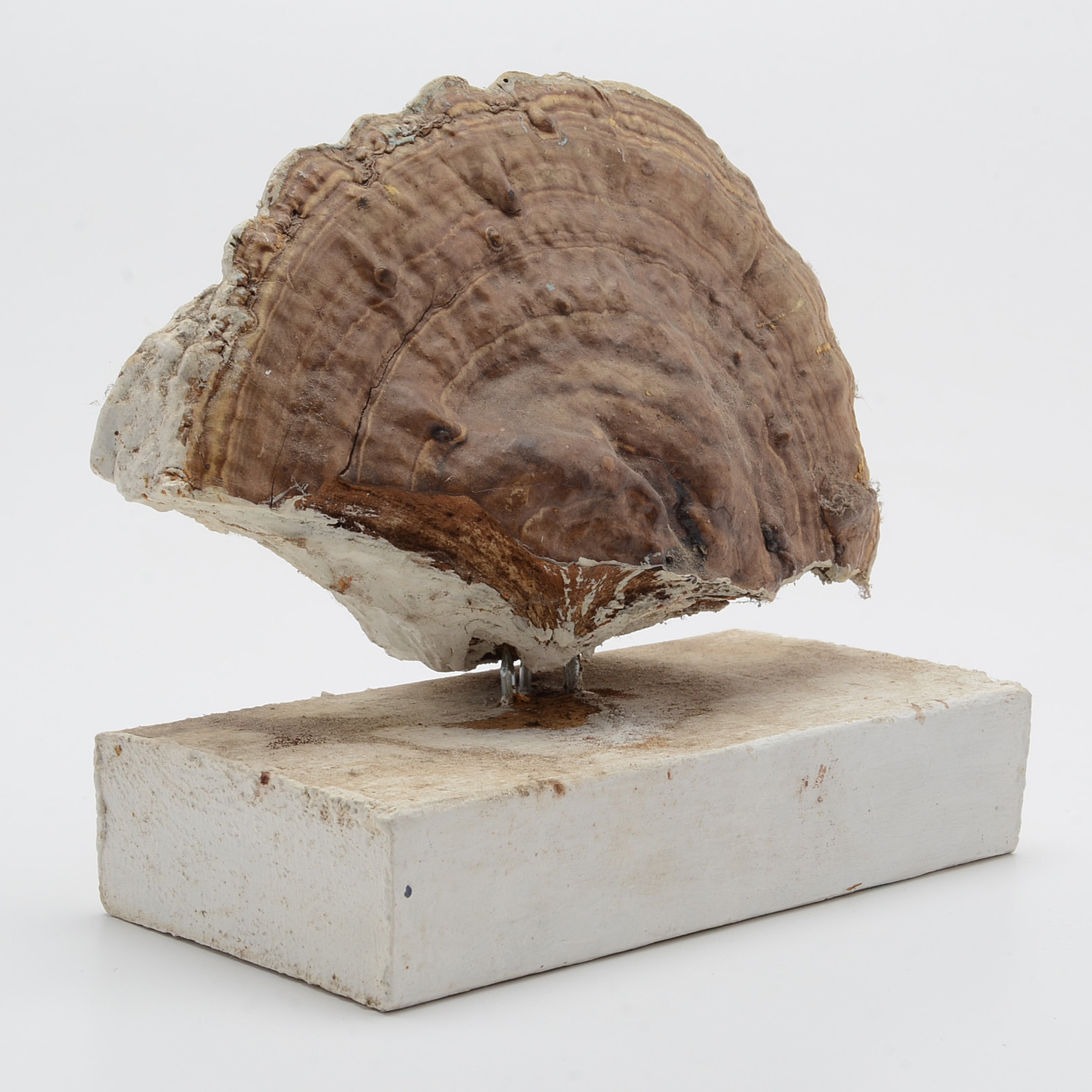 Norman Scott Quinn Folk Art Sculpture "Sho-Be-Do-Be-Do"