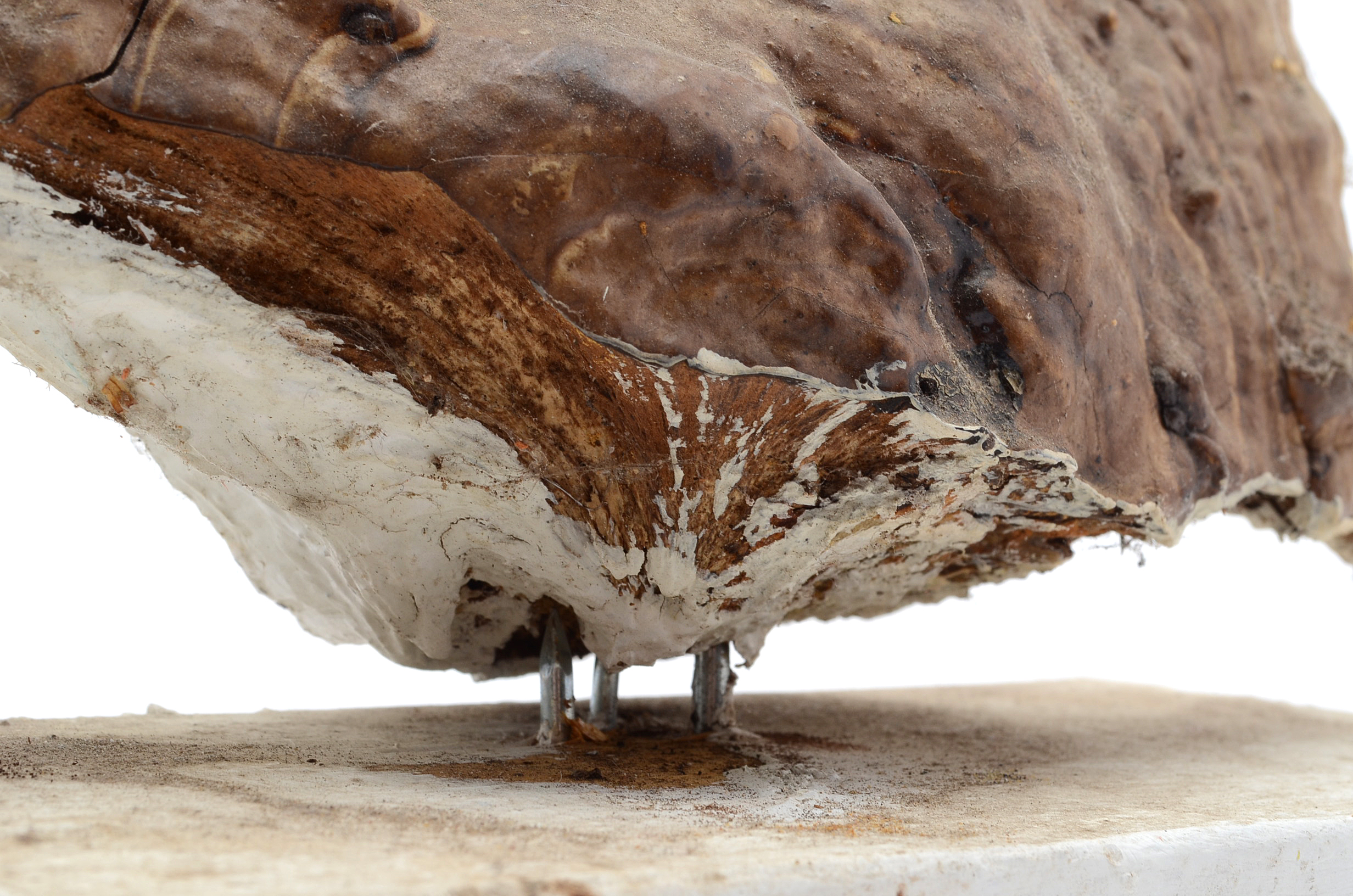 Norman Scott Quinn Folk Art Sculpture "Sho-Be-Do-Be-Do"