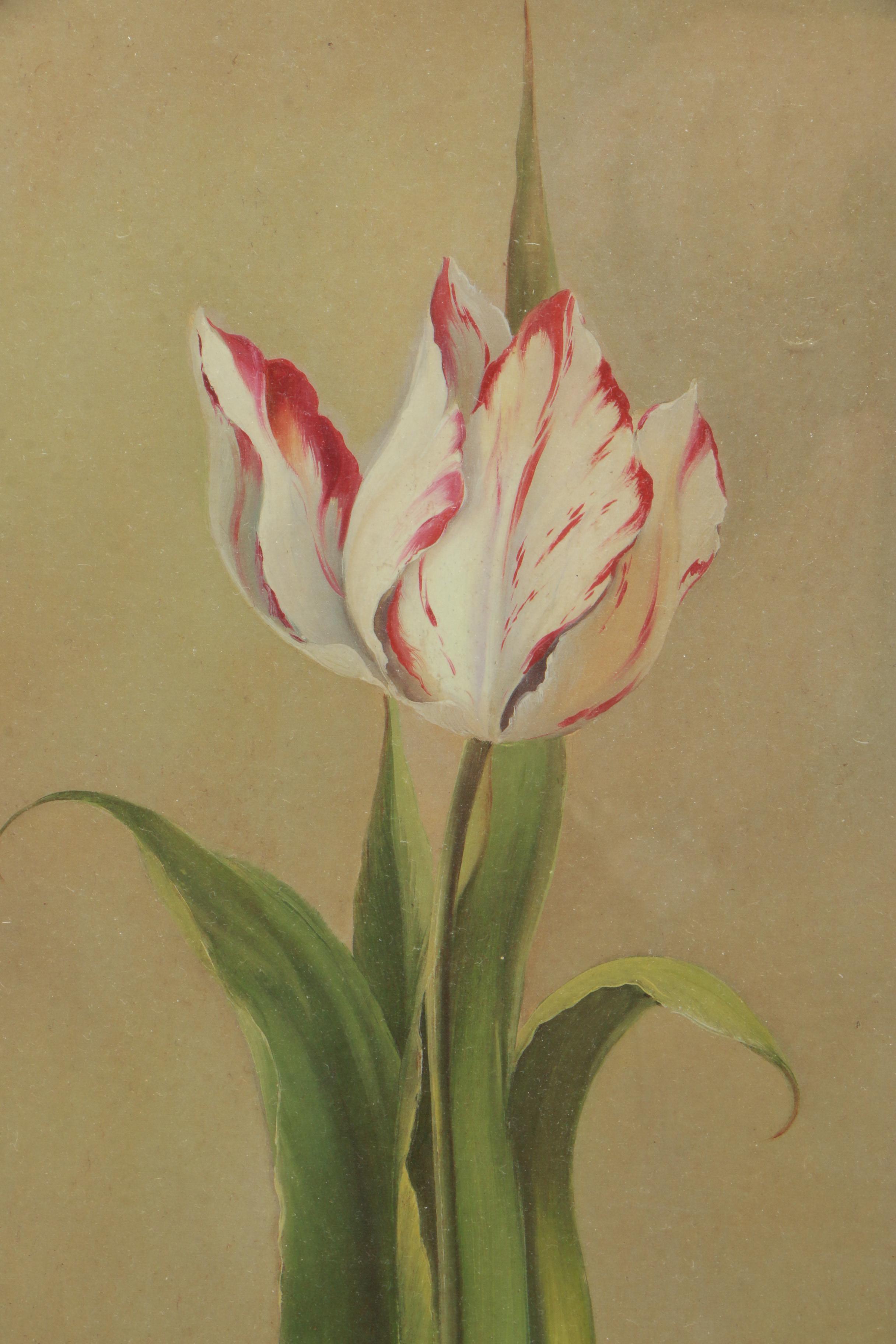 Reproduction Prints on Paper After Fabrice de Villeneuve Paintings of Plants