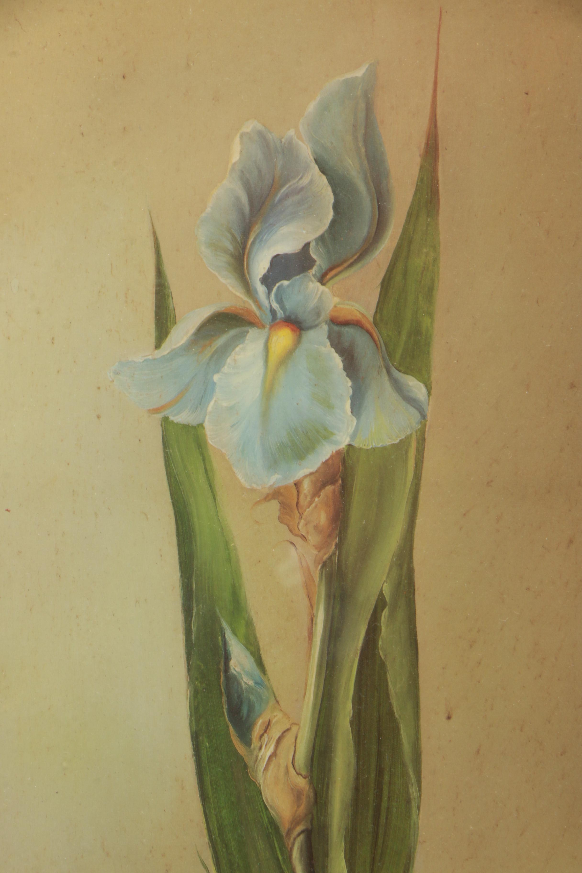 Reproduction Prints on Paper After Fabrice de Villeneuve Paintings of Plants