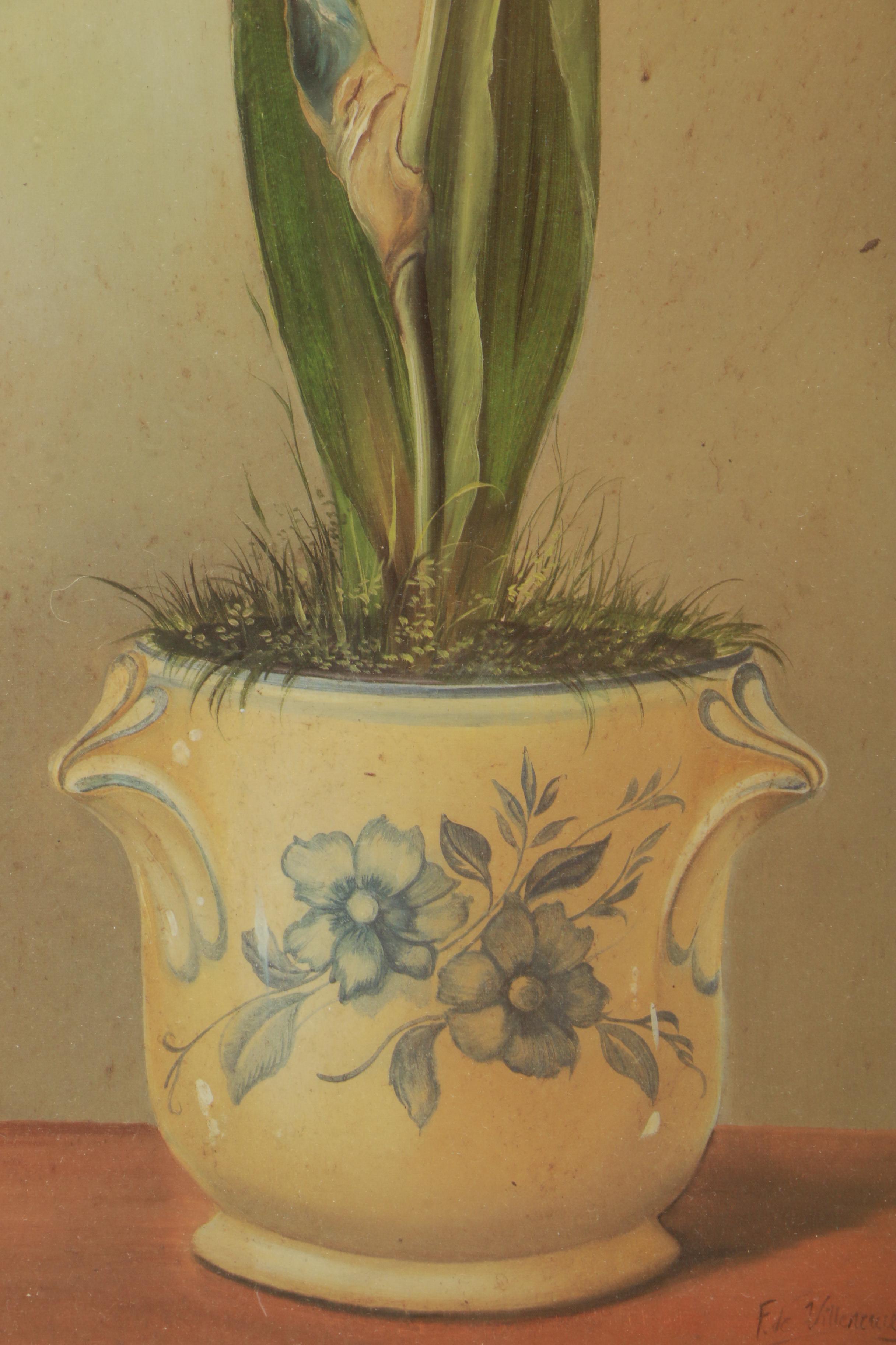 Reproduction Prints on Paper After Fabrice de Villeneuve Paintings of Plants