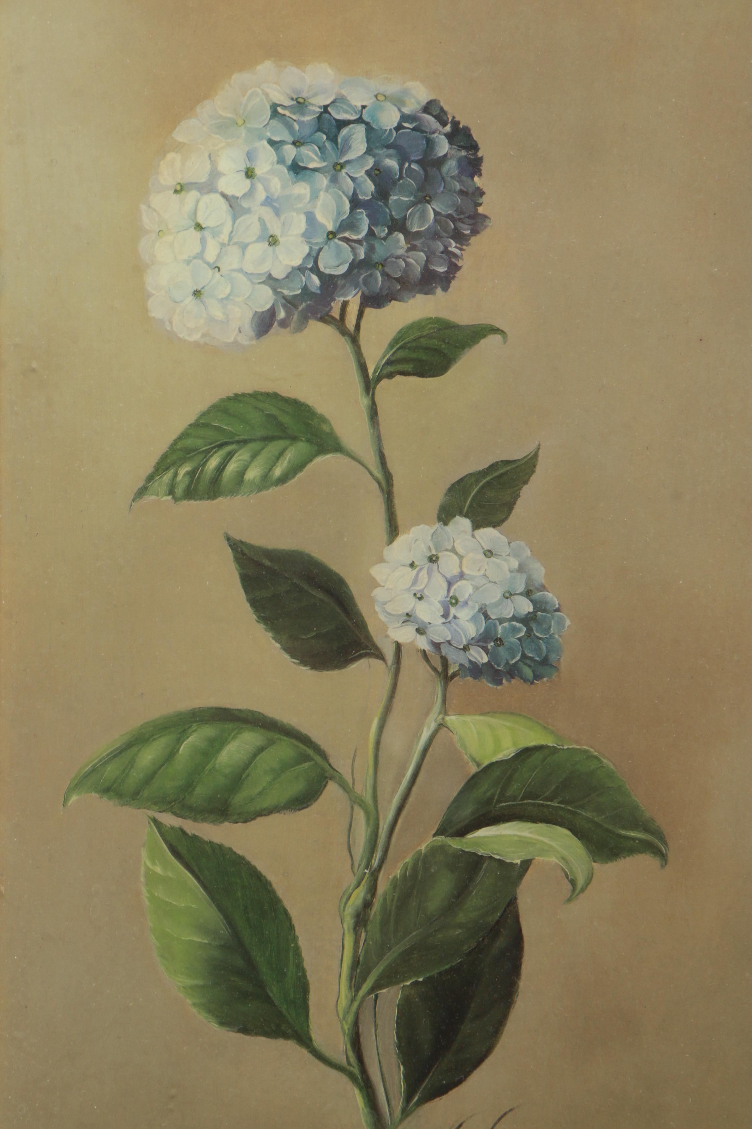 Reproduction Prints on Paper After Fabrice de Villeneuve Paintings of Plants