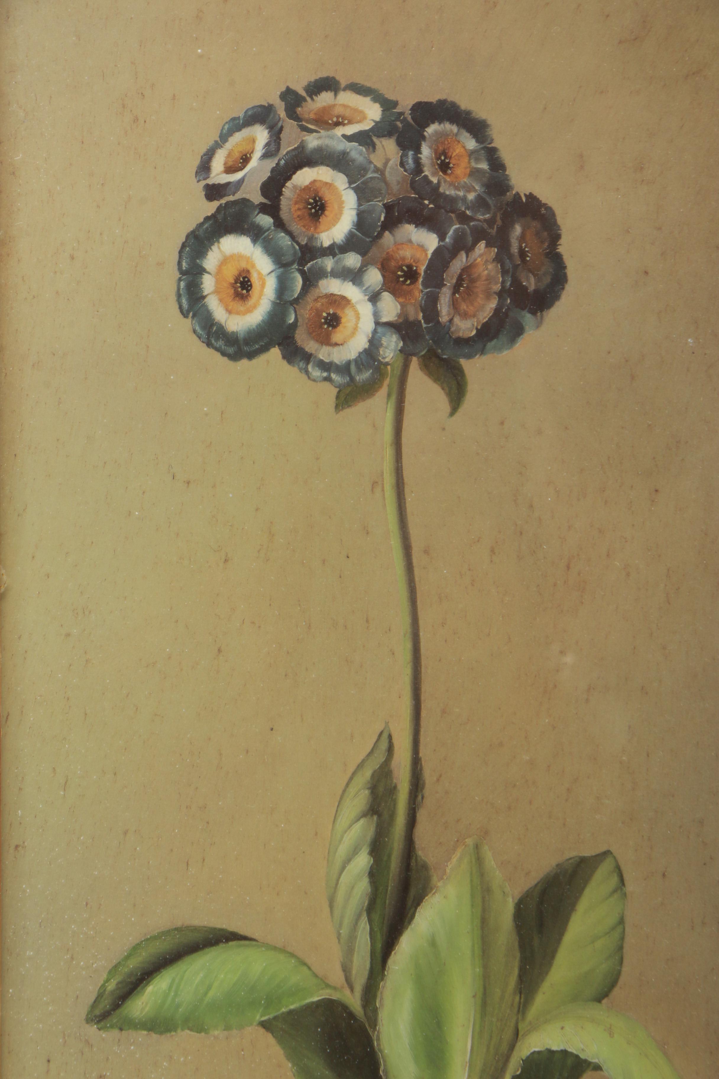 Reproduction Prints on Paper After Fabrice de Villeneuve Paintings of Plants