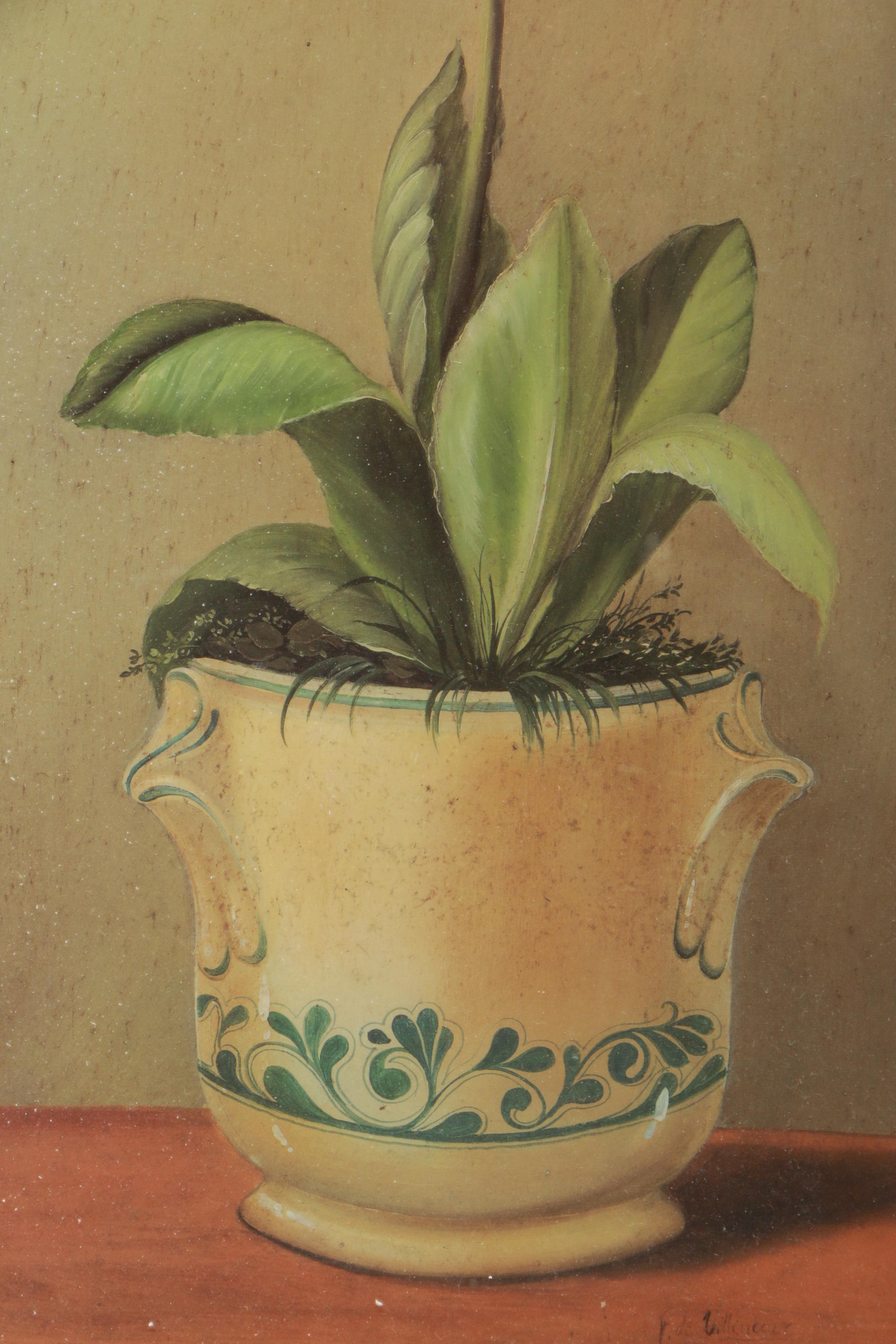 Reproduction Prints on Paper After Fabrice de Villeneuve Paintings of Plants