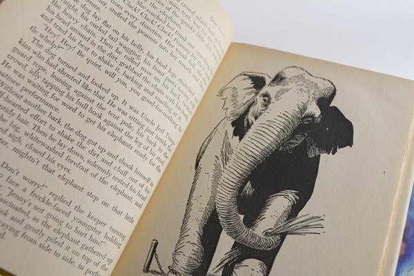 Vintage Hardcover Book Collection