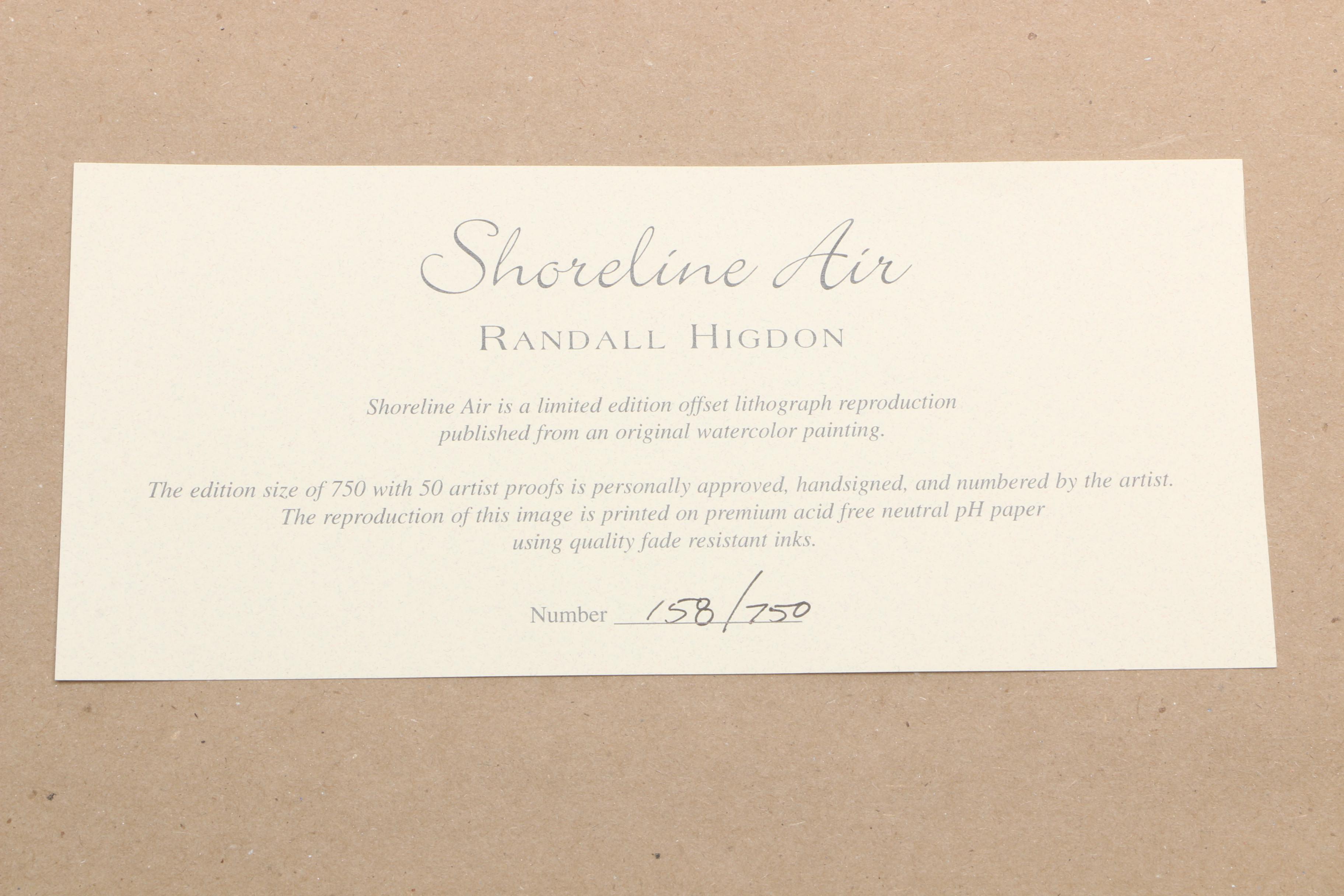 Randall Higdon Limited Edition Offset Lithograph Print "Shoreline Air"