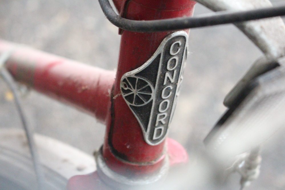 Two Vintage Three-Speed Bicycles