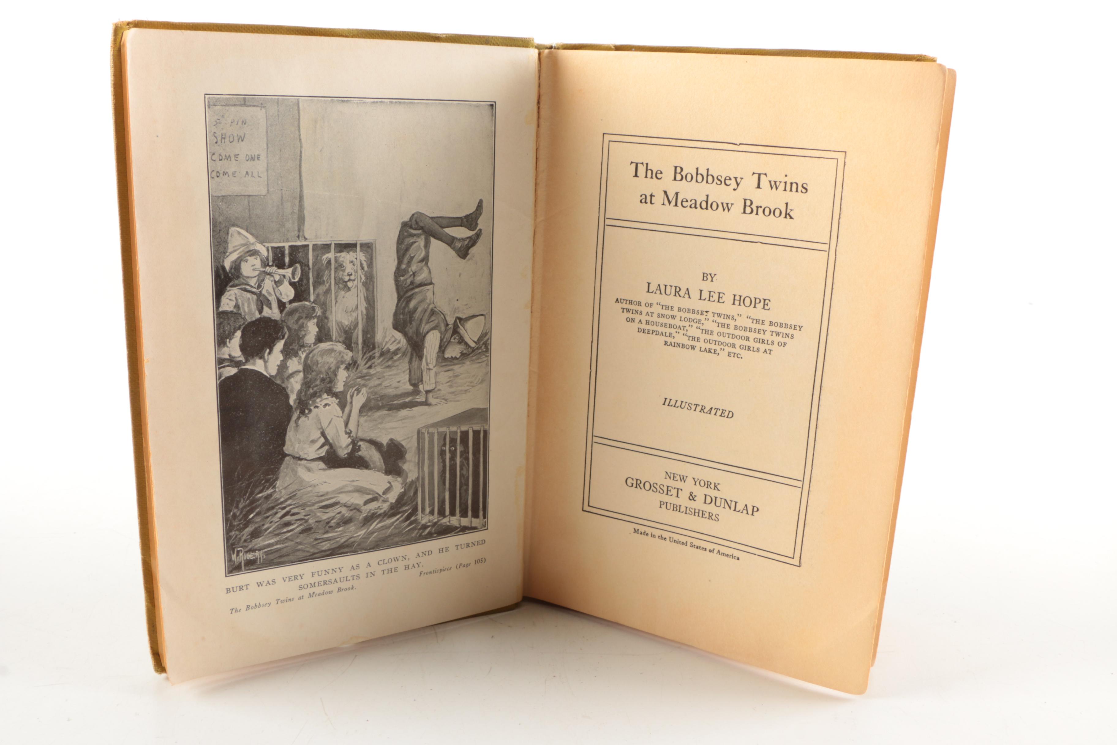 Collection of Antique Books by Laura Lee Hope