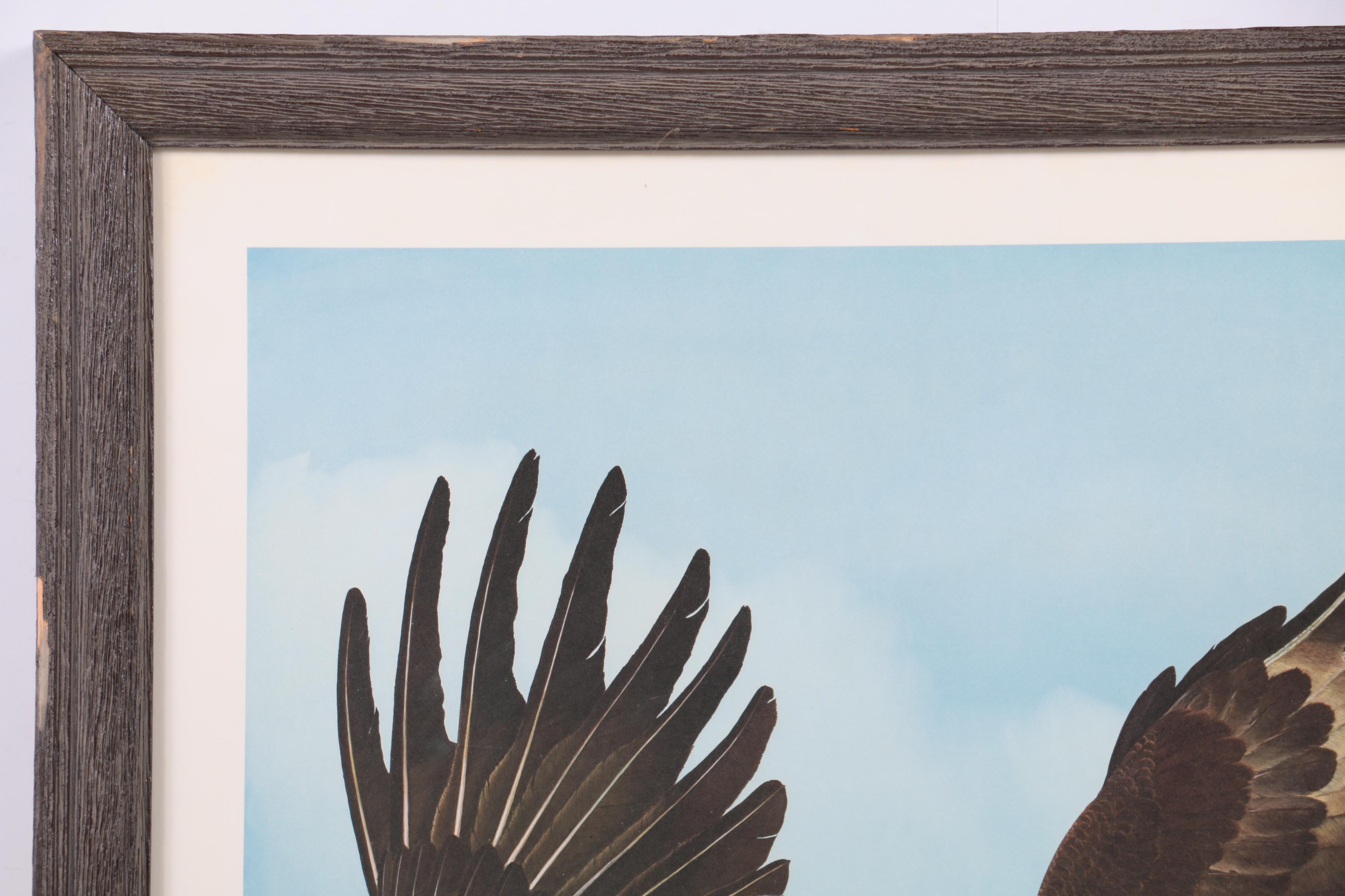 Ray Harm Reproduction Print on Paper "American Eagle"